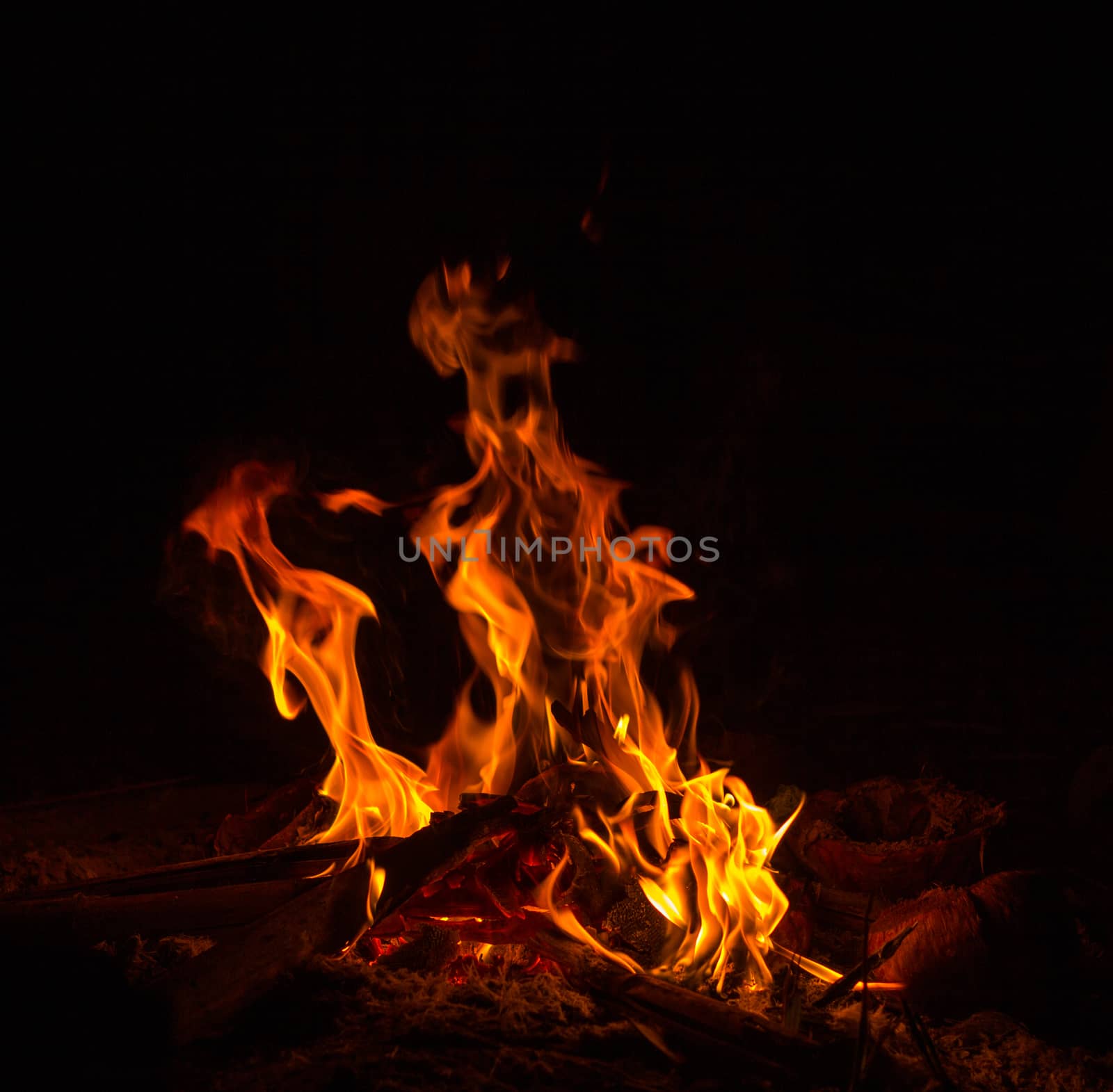 campfire in darkness on a mountain in Chiang Rai Thailand