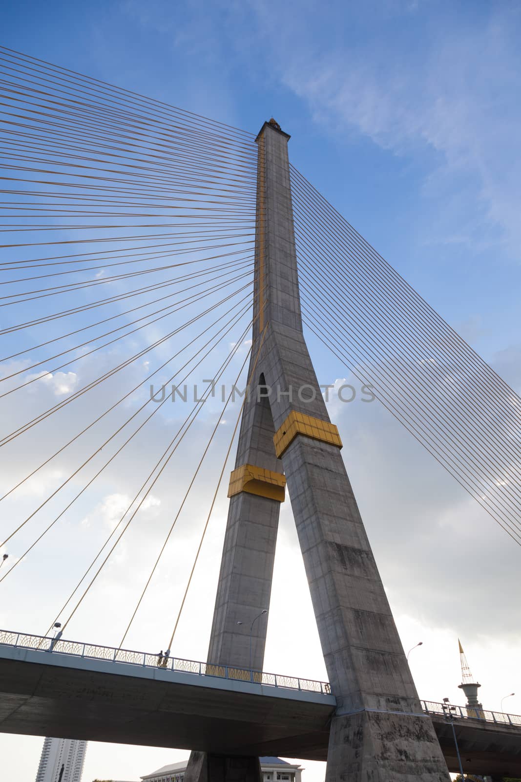 Rama VIII Bridge During the evening. Sunny and clear skies in the evening sun began to darken.