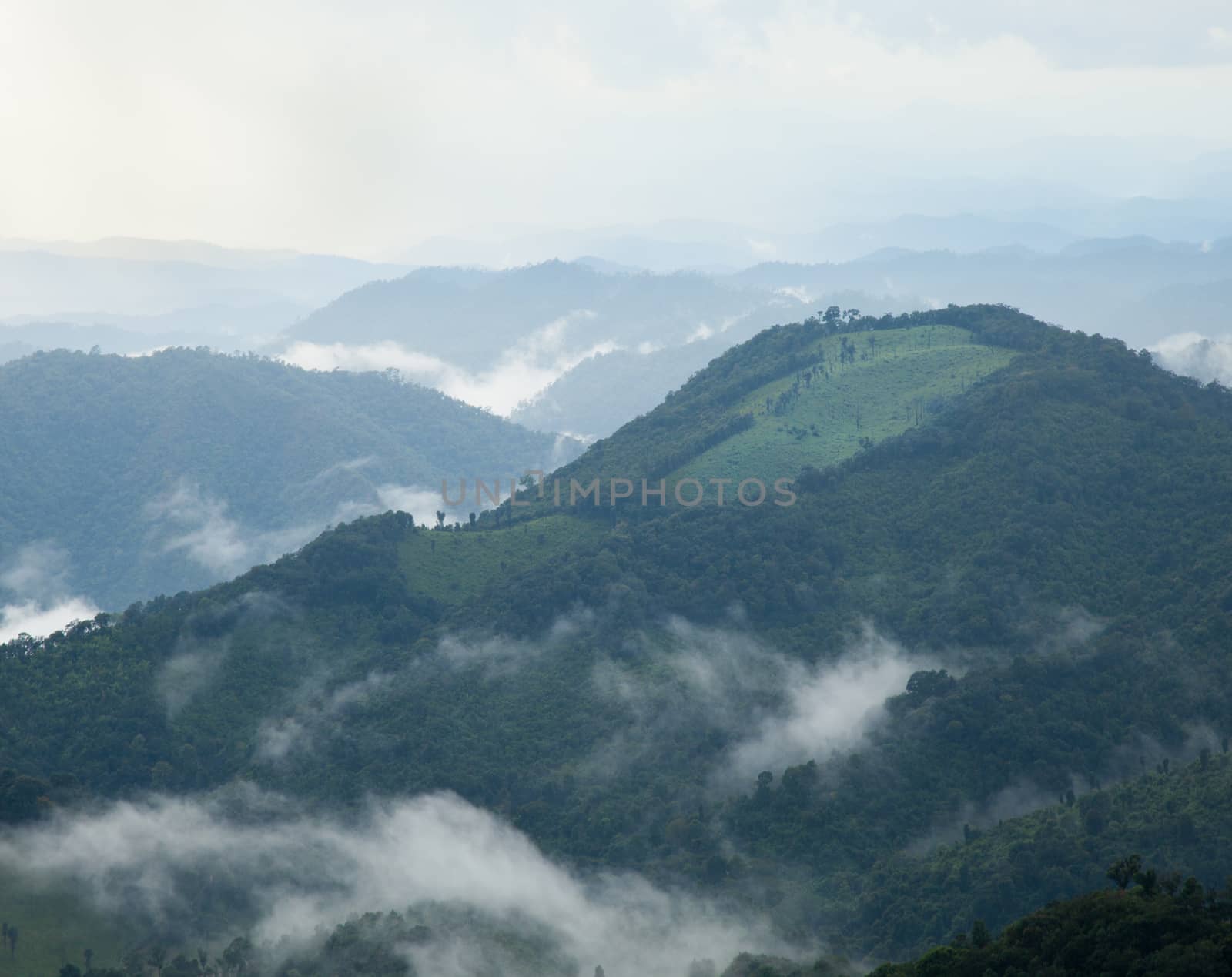 Mountain complex. Fog covered the hillside. And forest land. Cool in the morning and evening.