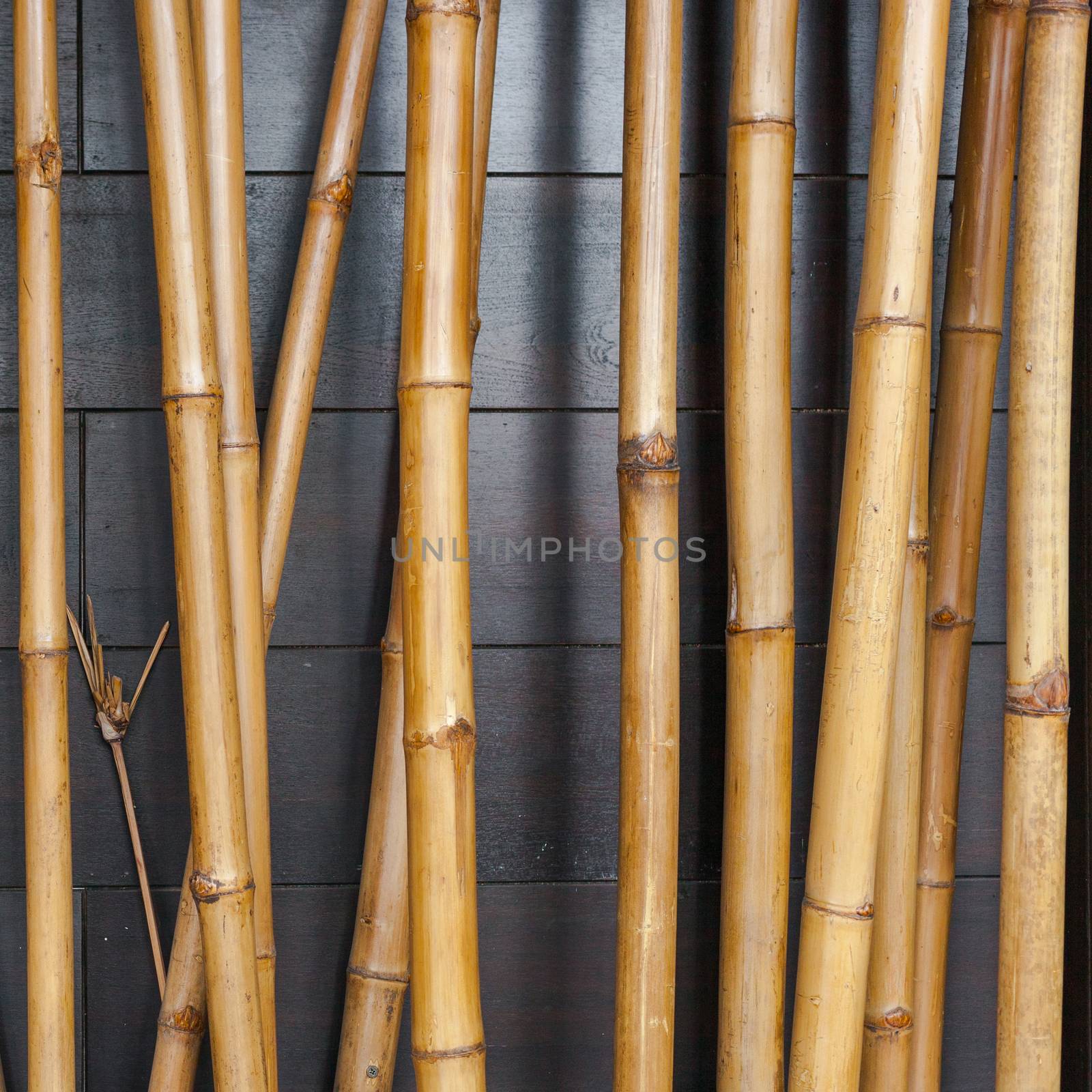 Yellow bamboo fence background on the black wood by nopparats
