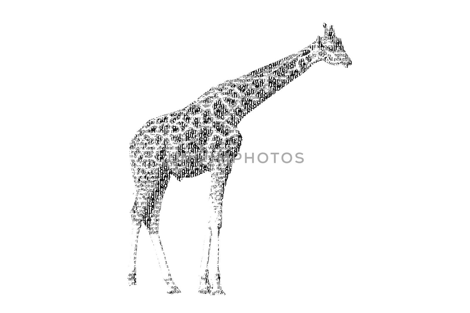 word giraffe mixed to be figure of giraffe, with typography style, isolated on white background