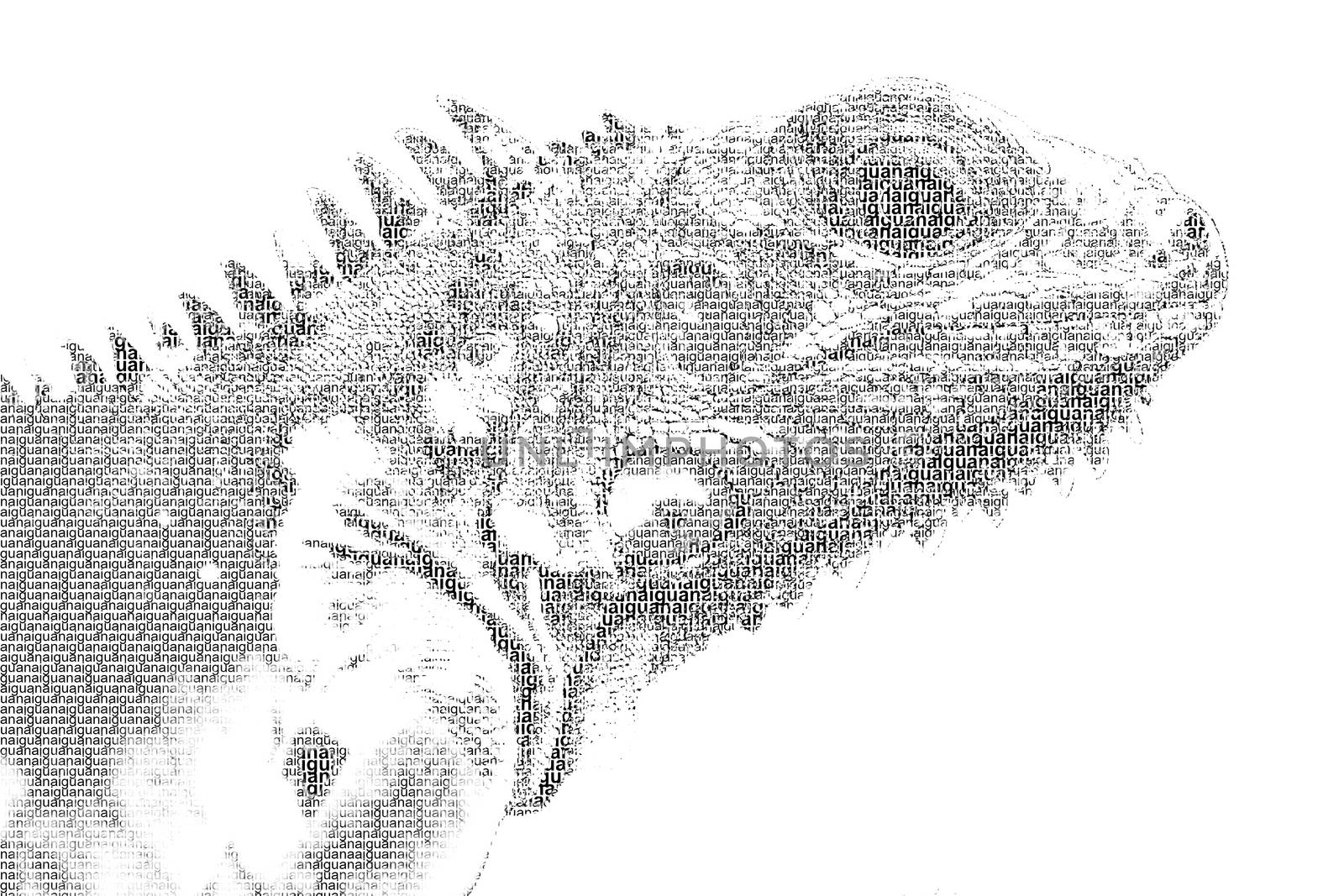 word iguana mixed to be figure of iguana, with typography style, by a3701027