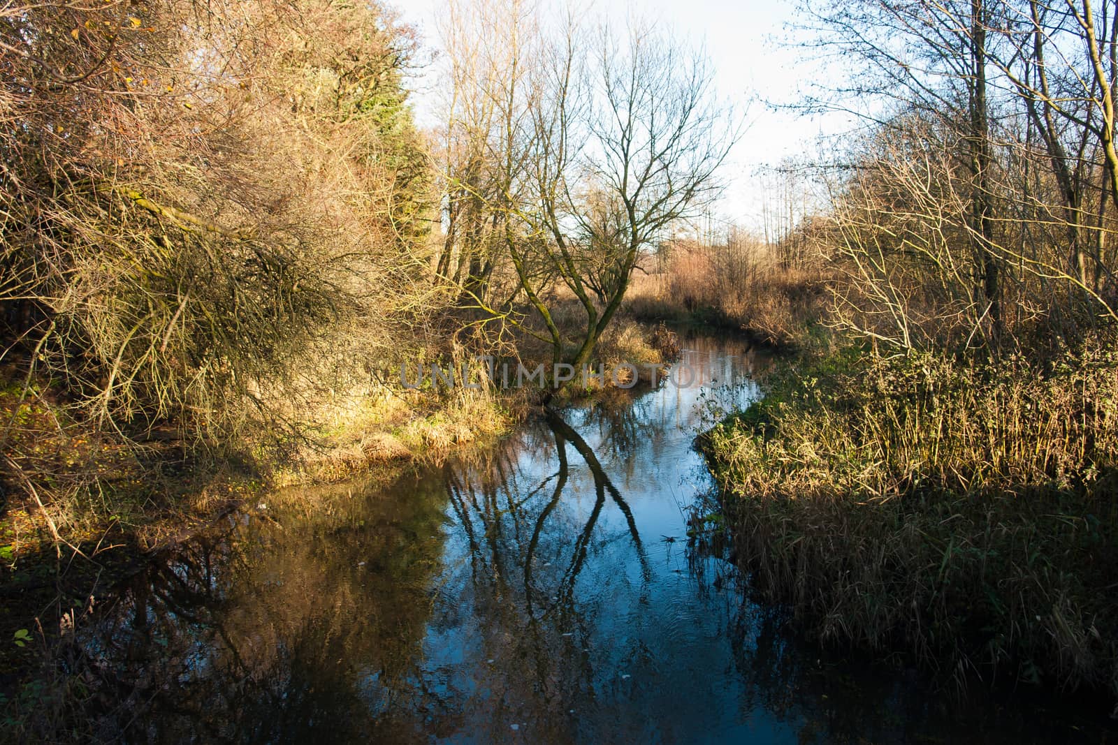 Small beautiful brook stream river in a green lush forest nature background        