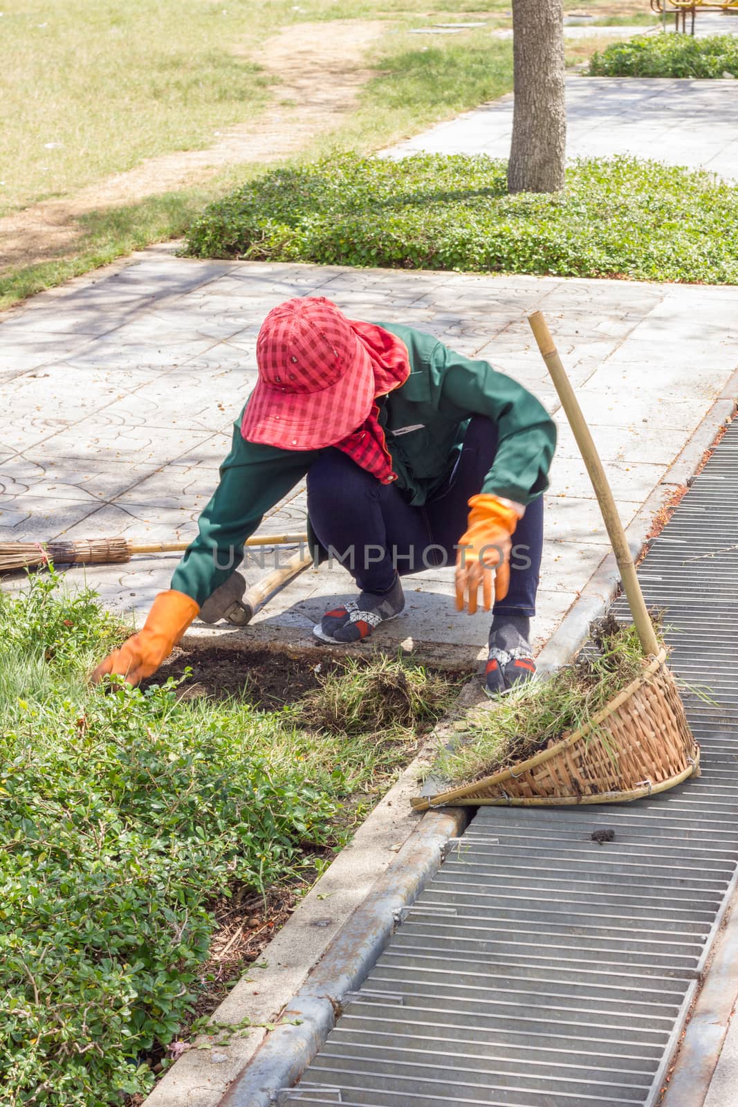 gardener pulling out weeds in public park in Thailand, motion blur