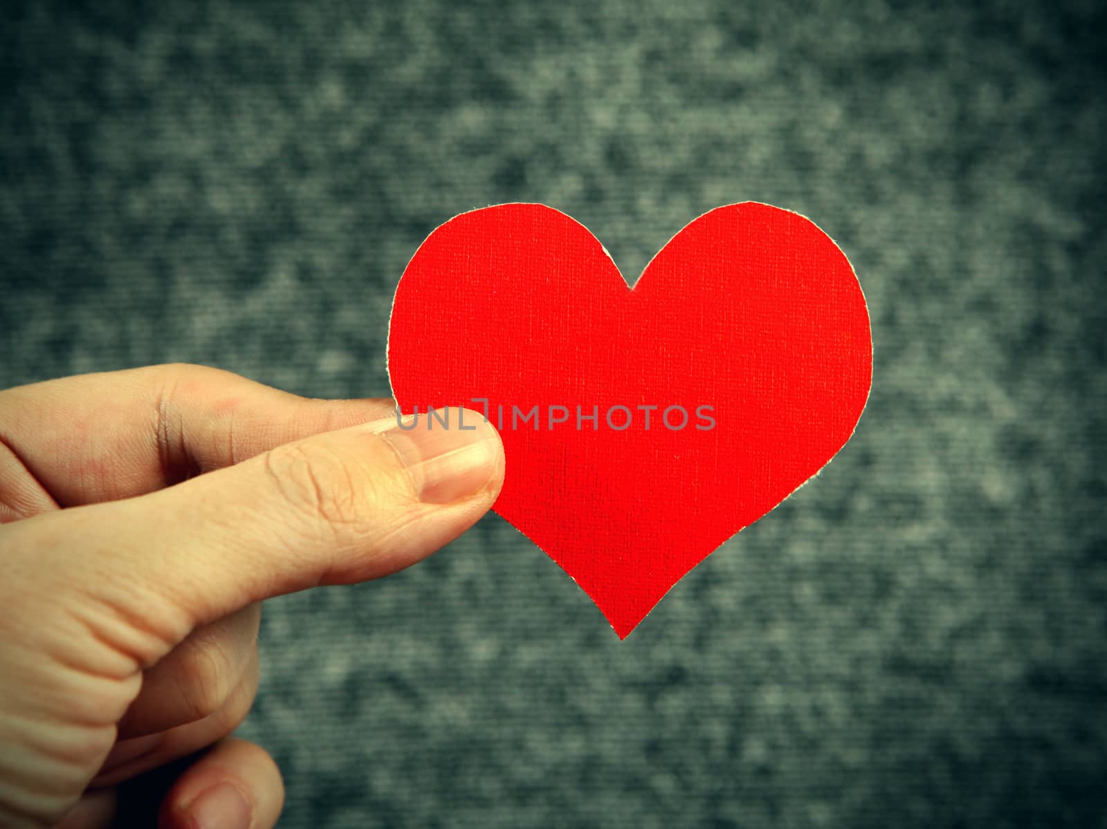 Heart Shape in the Hand by sabphoto