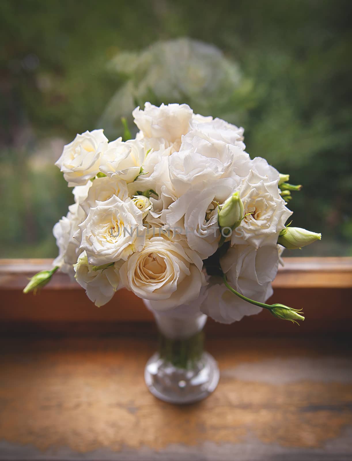 Beautiful white Roses in a glass vase near window. by sfinks