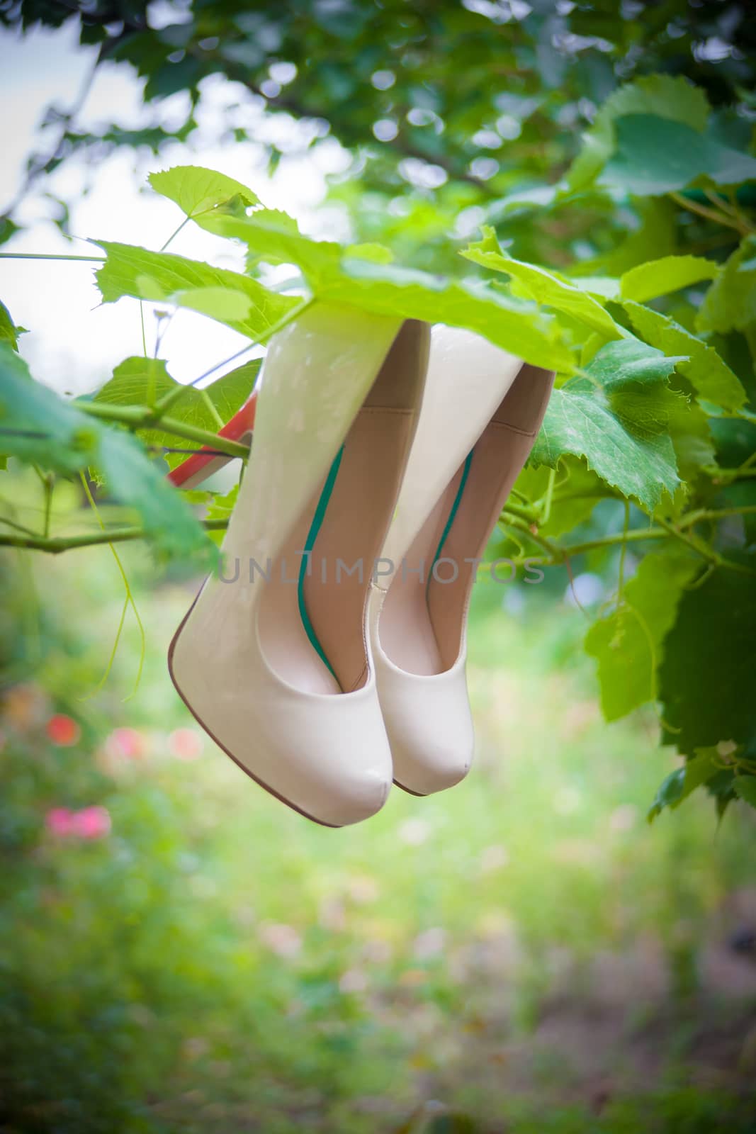 Womens shoes with high heels are hanging on a branch among green leaves