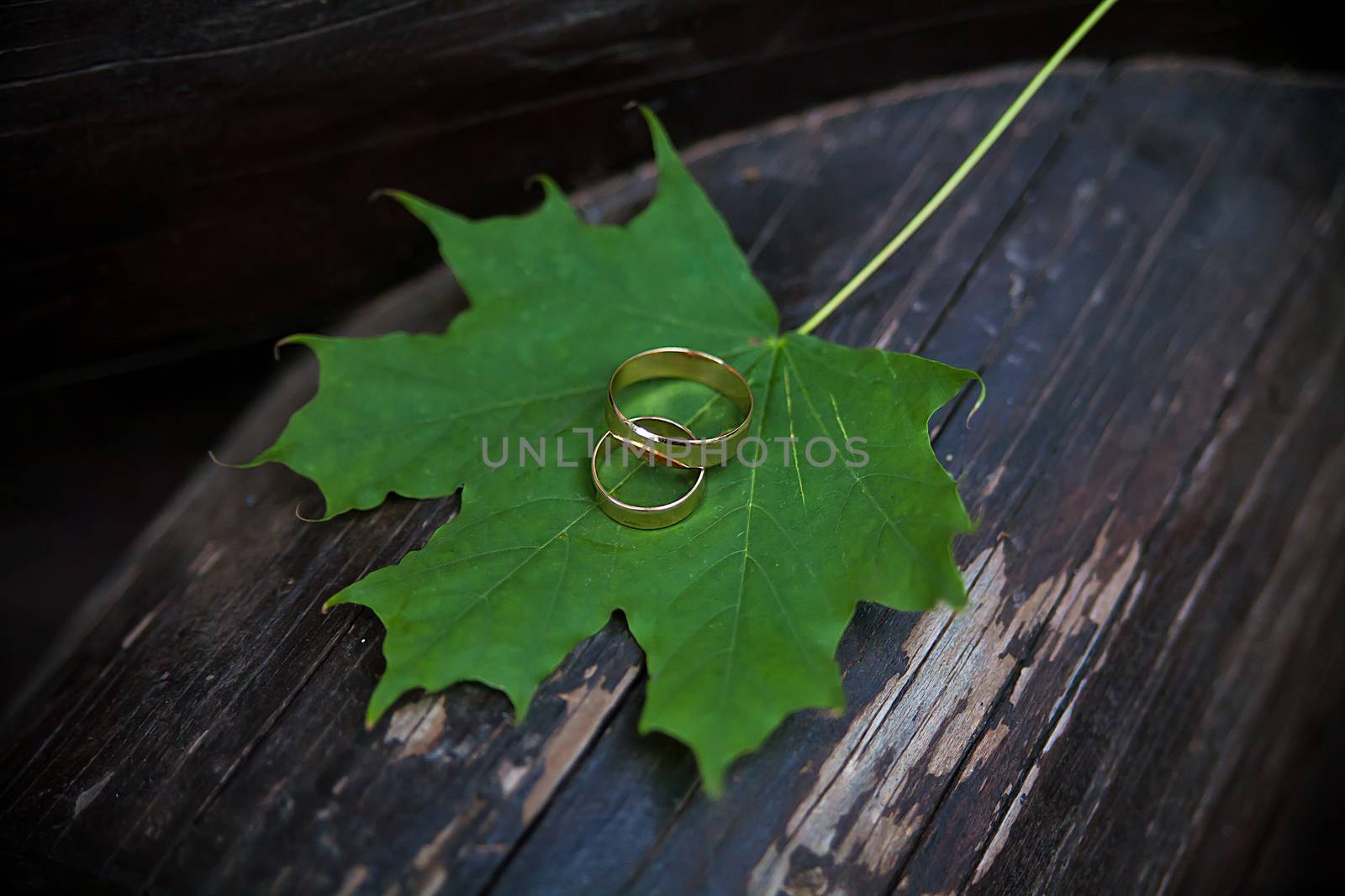 Wedding rings on green maple leaves with brown wood background