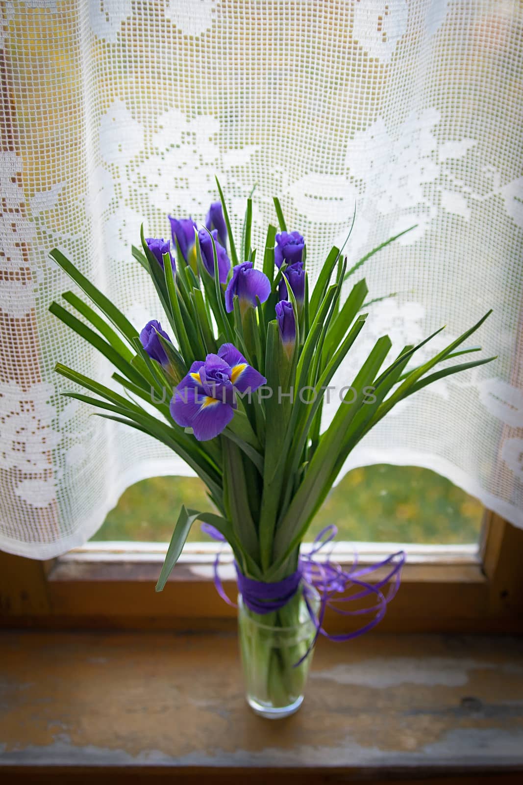 Purple iris flowers in vase, on wooden table near the window