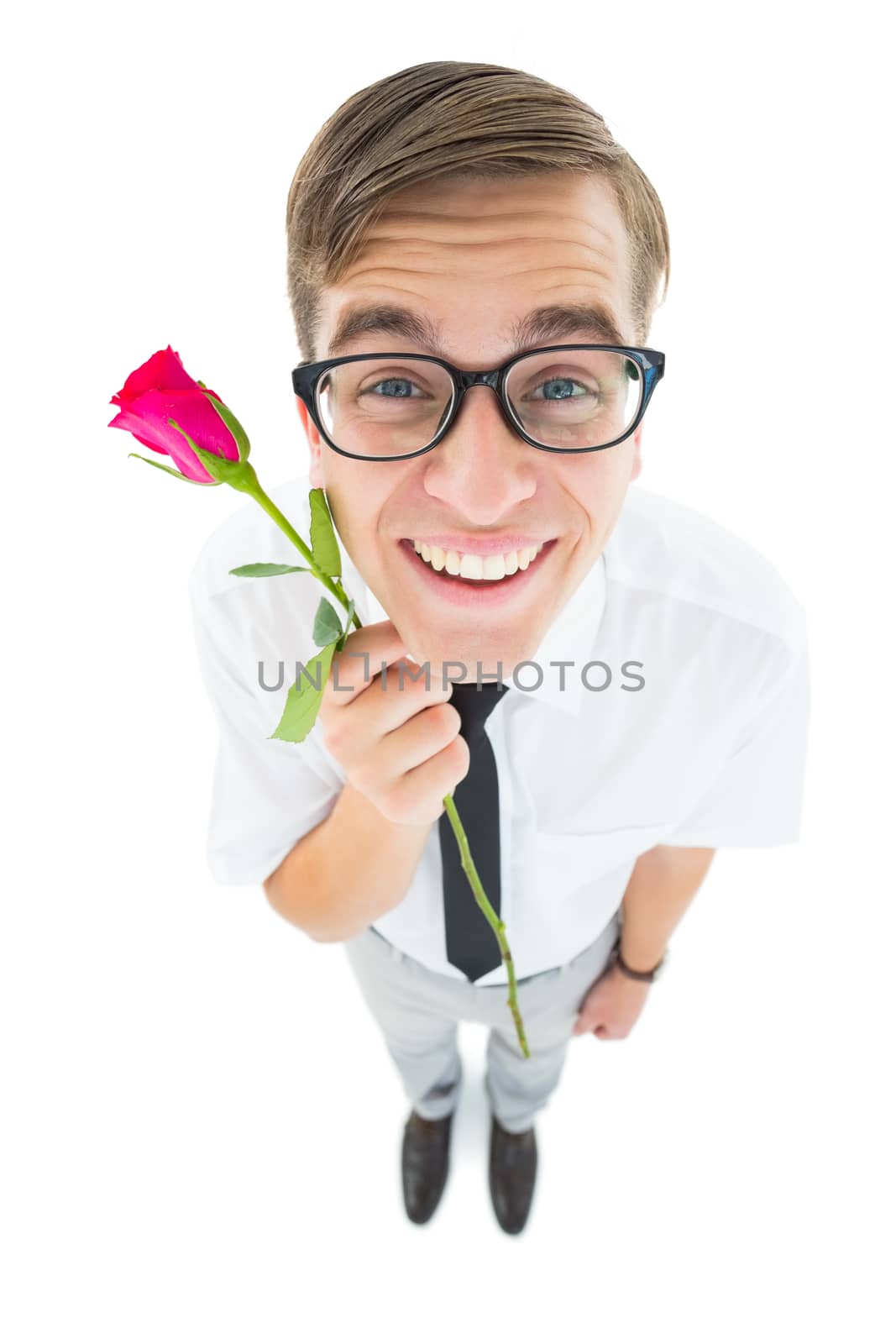 Geeky hipster holding a red rose on white background
