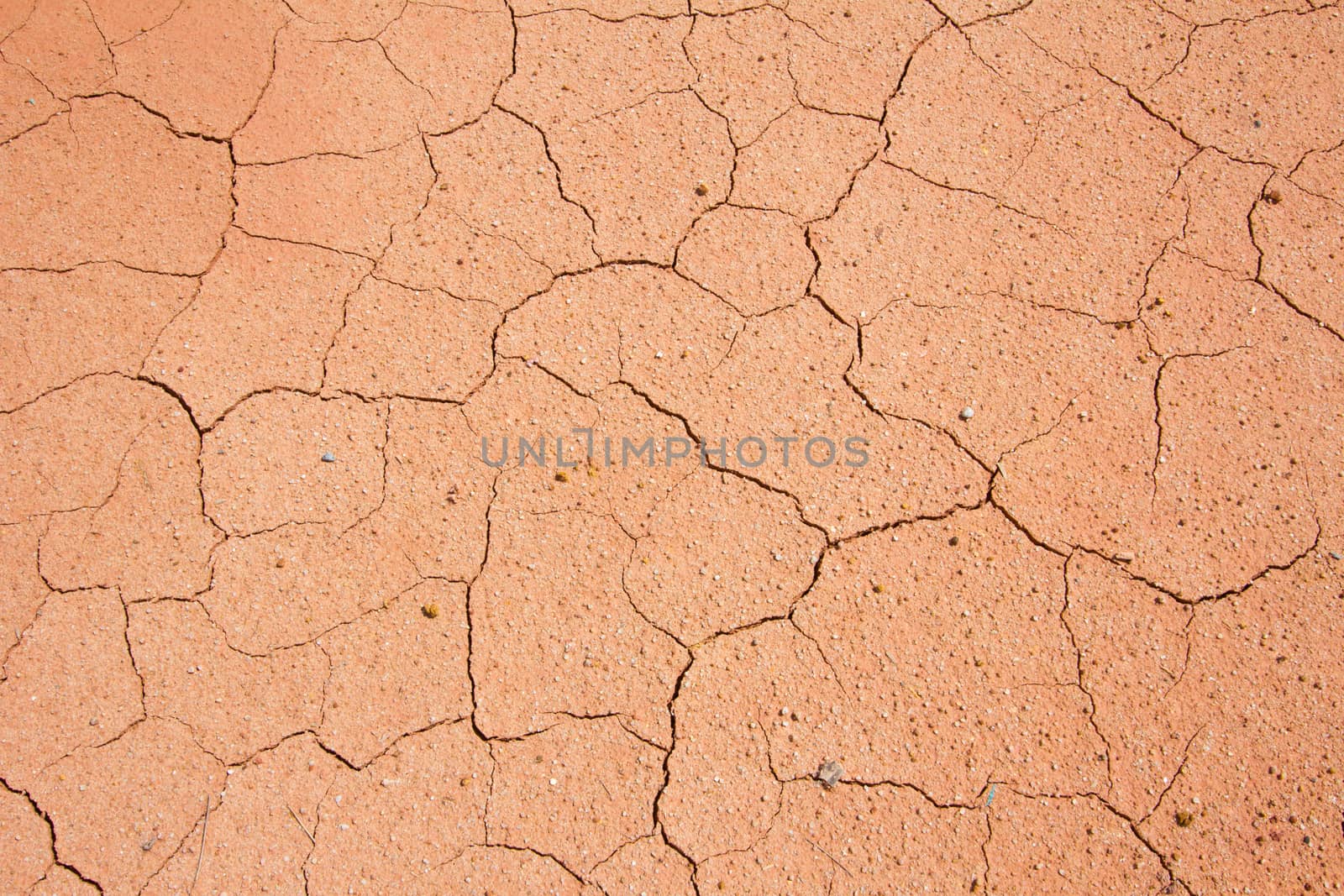 dried cracked mud,drought land , waterless, in thailand