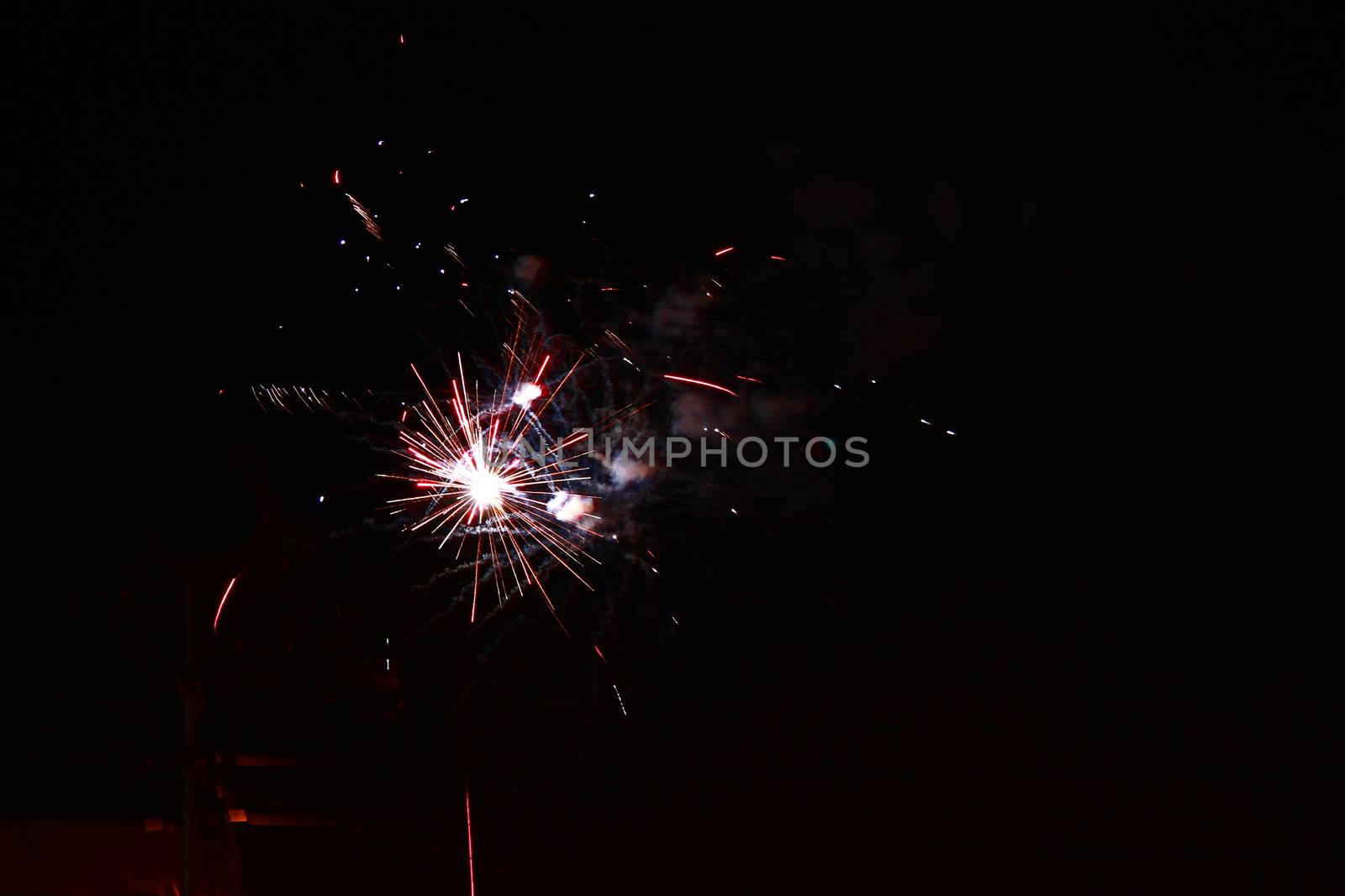 Celebration firework in the black night sky