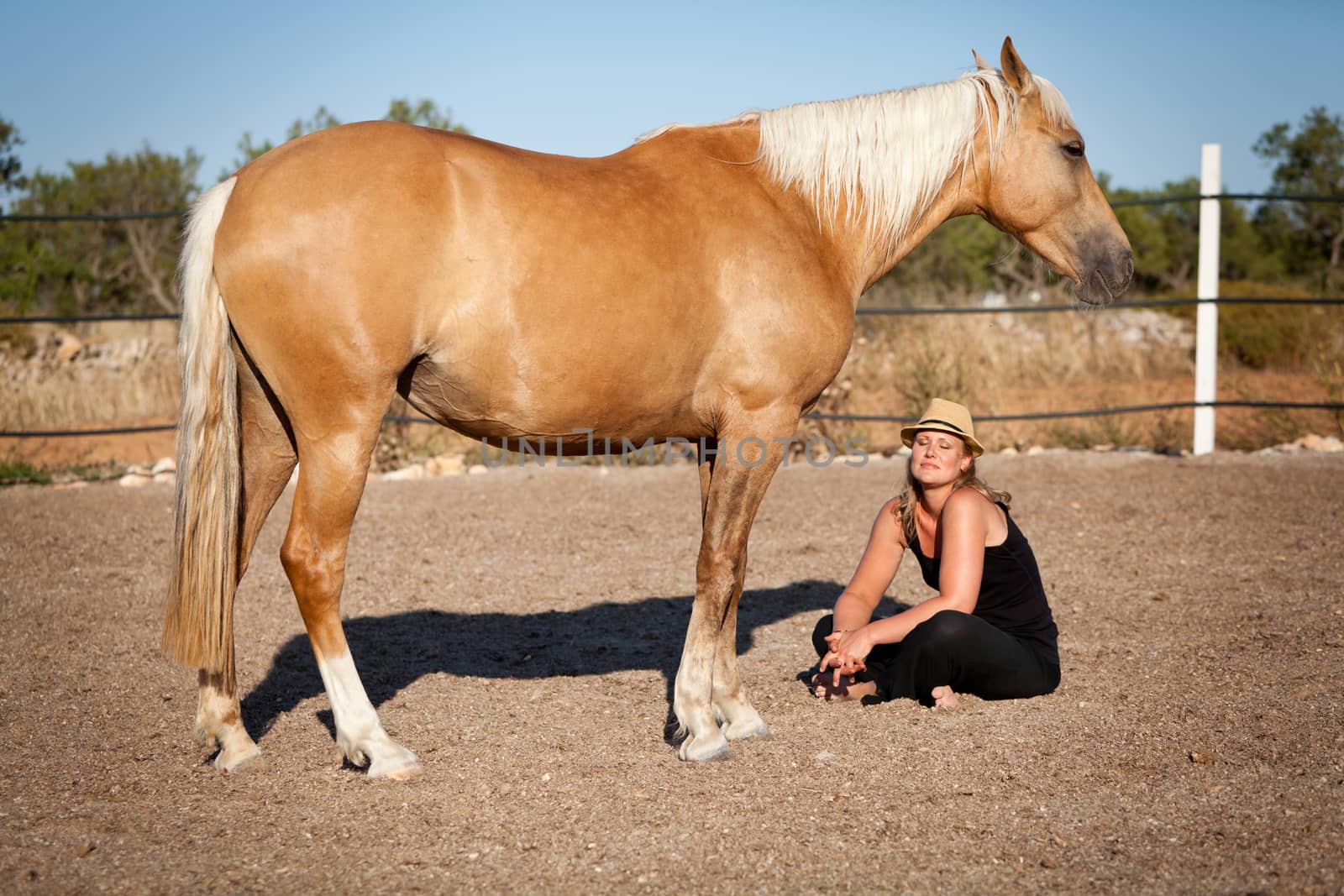 young woman training horse outside in summer choreography 