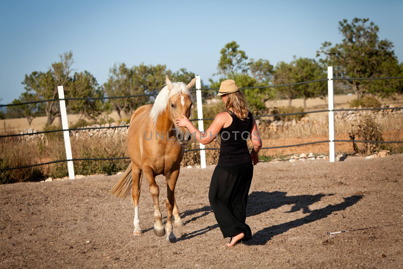 young woman training horse outside in summer choreography 