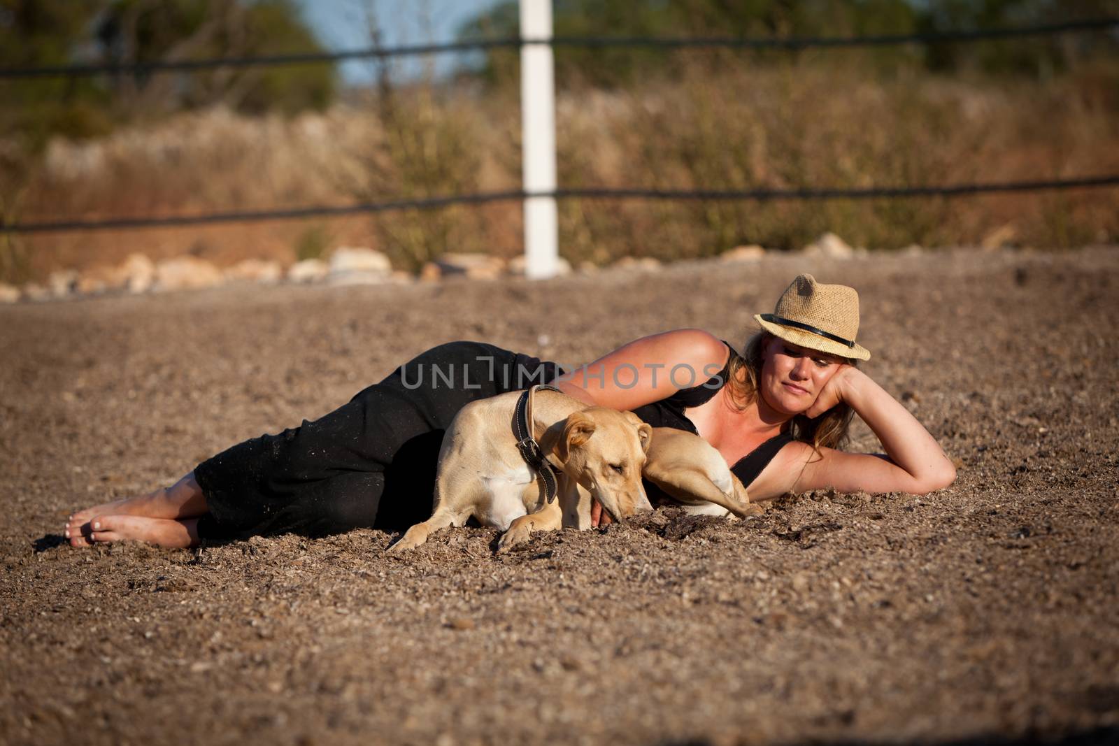 young woman training horse outside in summer choreography 