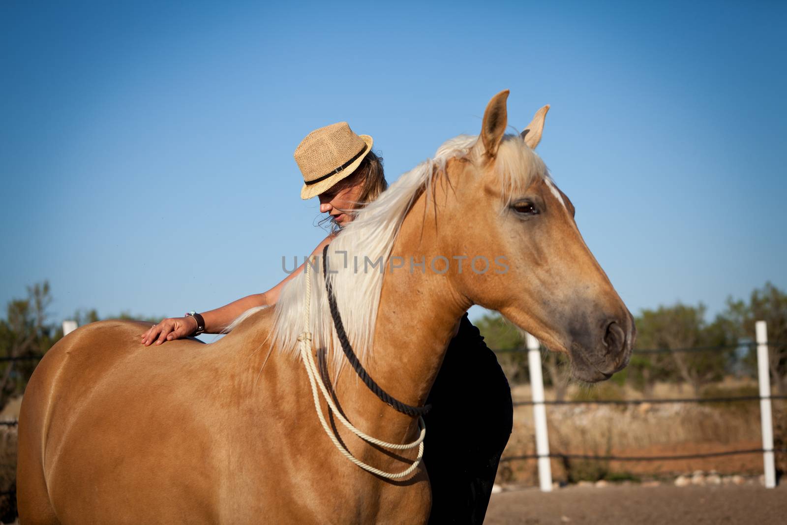 young woman training horse outside in summer choreography 