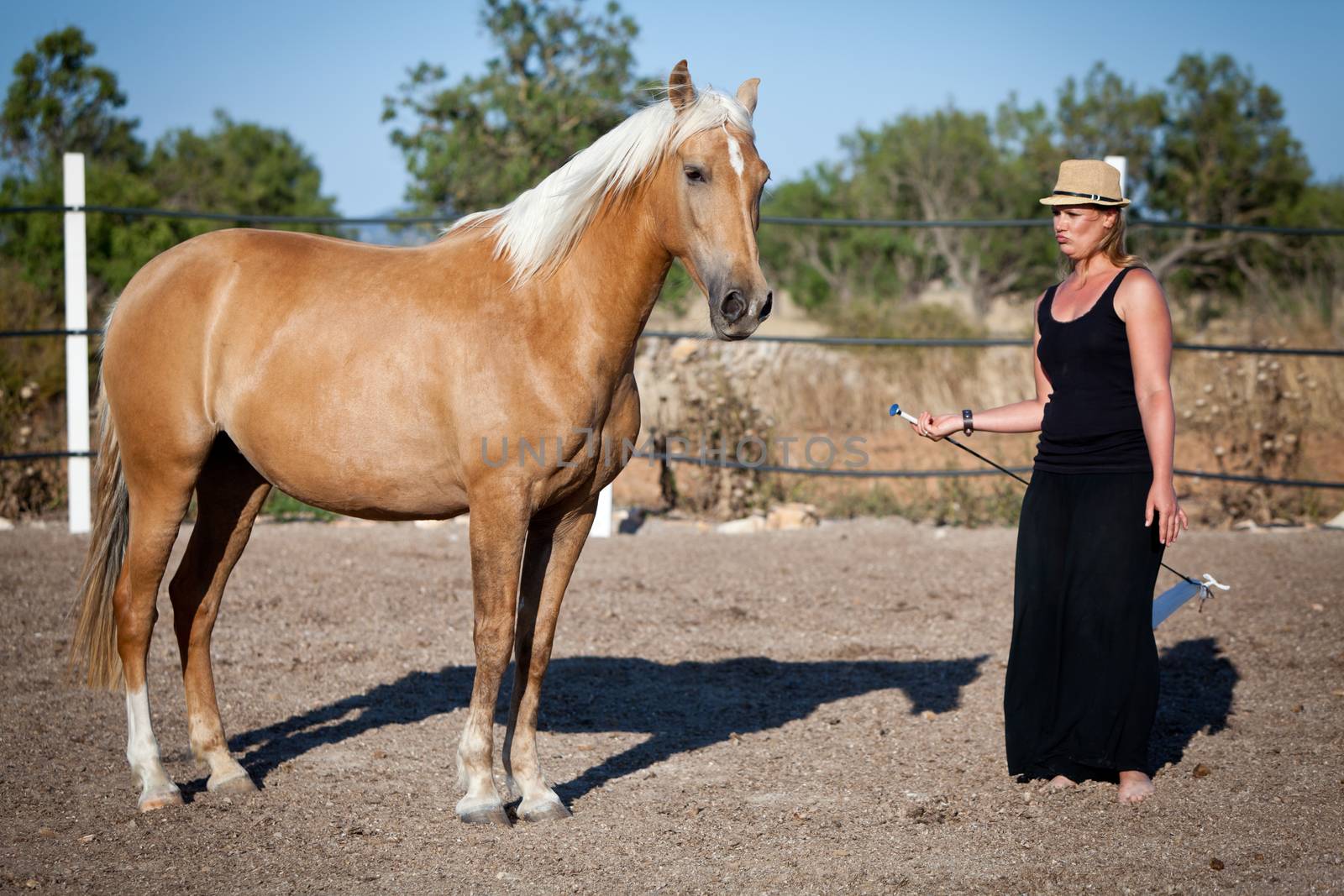 young woman training horse outside in summer choreography 