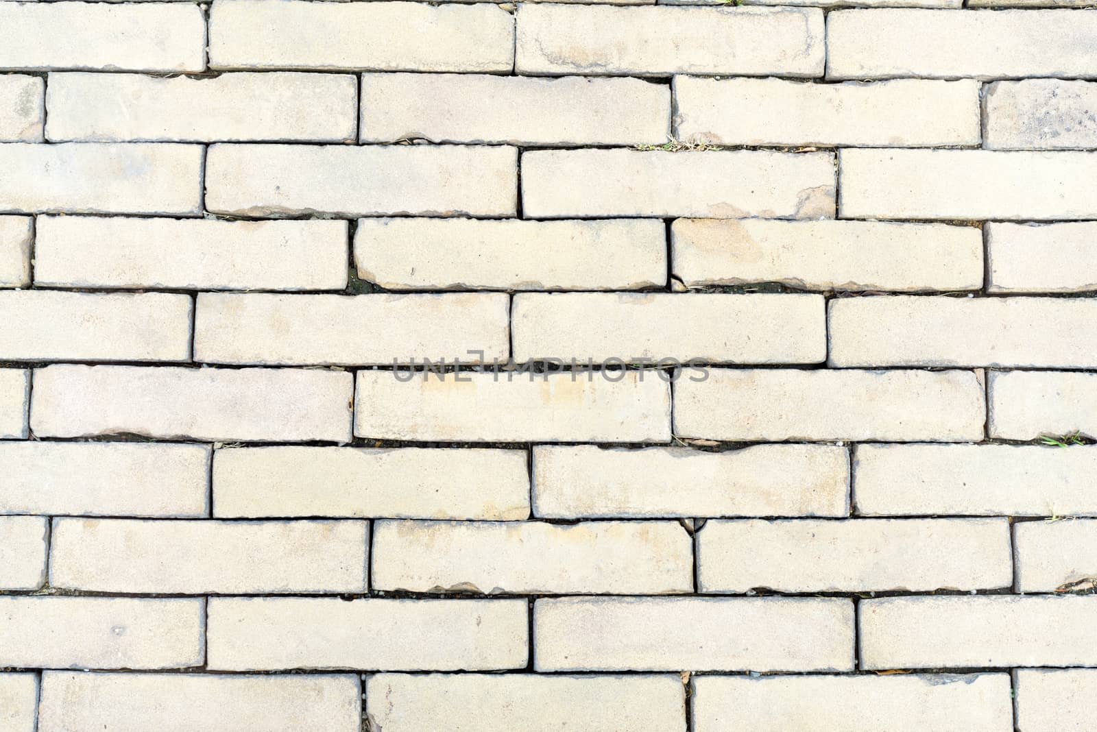Background of old vintage white cream colored brick wall