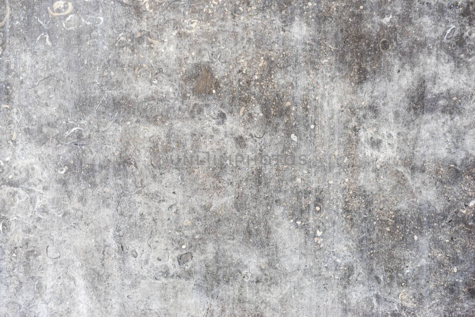 high quality black and white cement background grunge texture