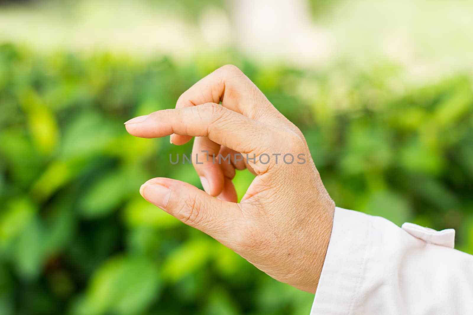 Woman hand hold card, credit, blank paper or other on green background. Female hand showing empty space for your choice