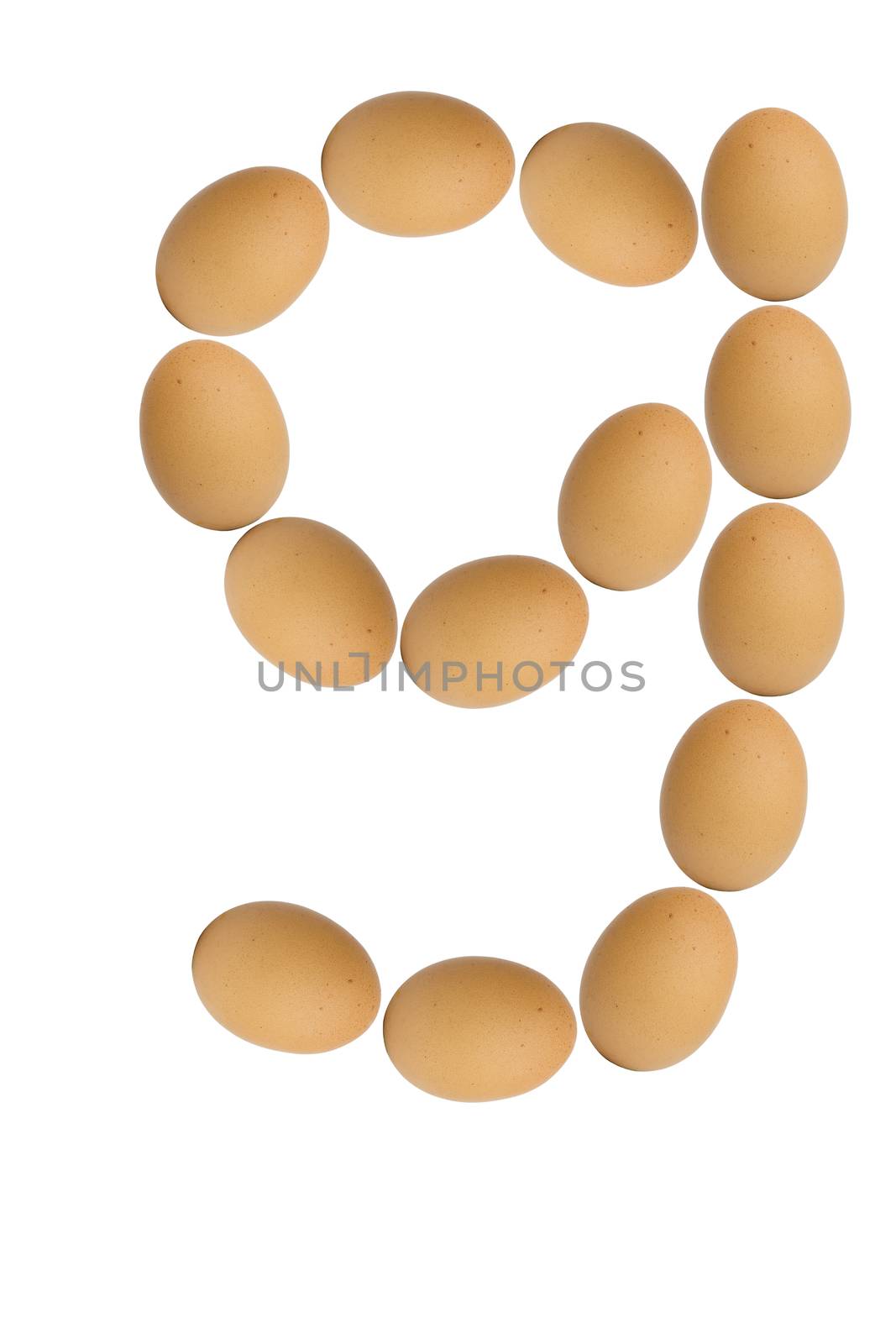 Alphabets  A to Z from brown eggs alphabet isolated on white background, g