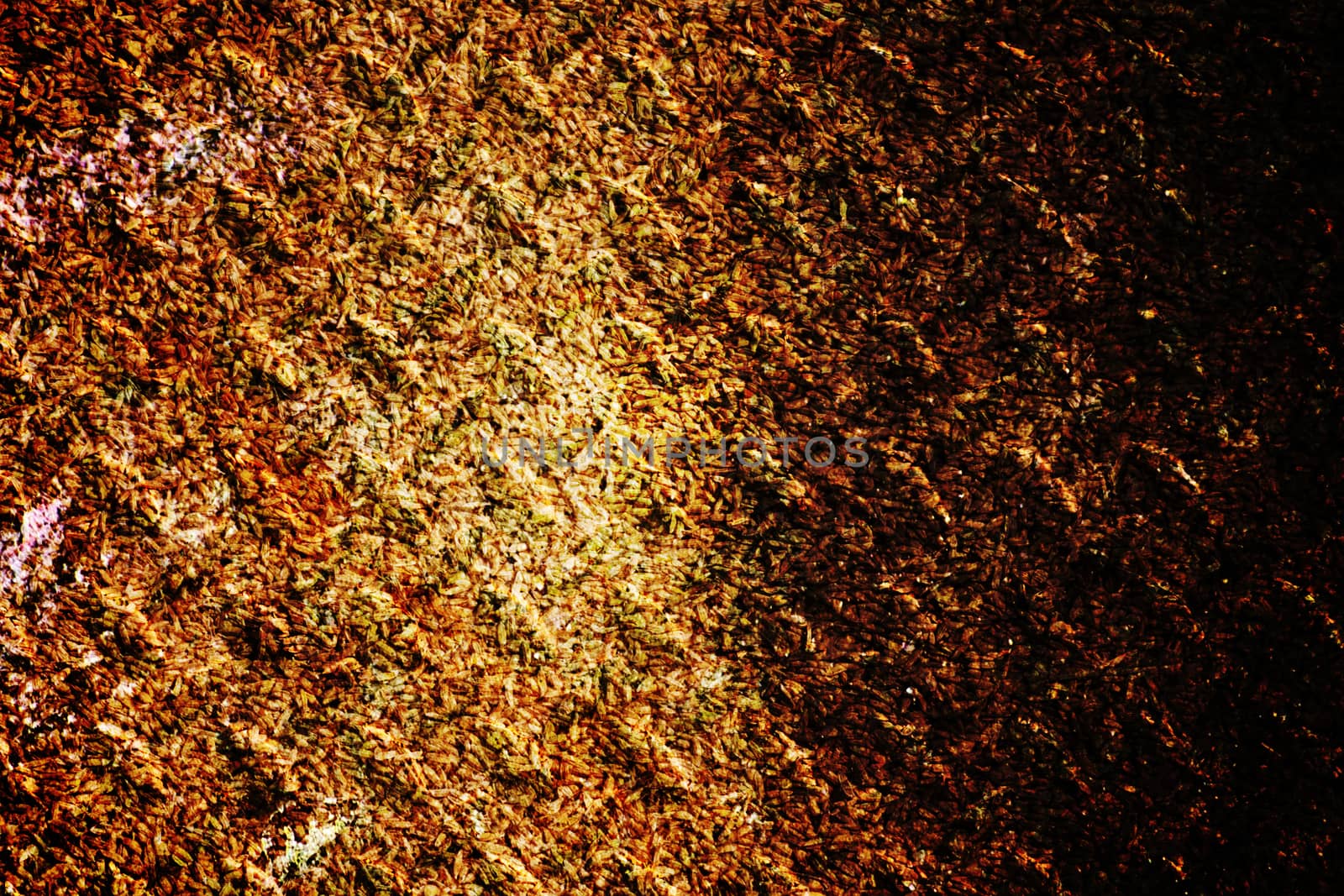 grunge texture, wall background, vignette 