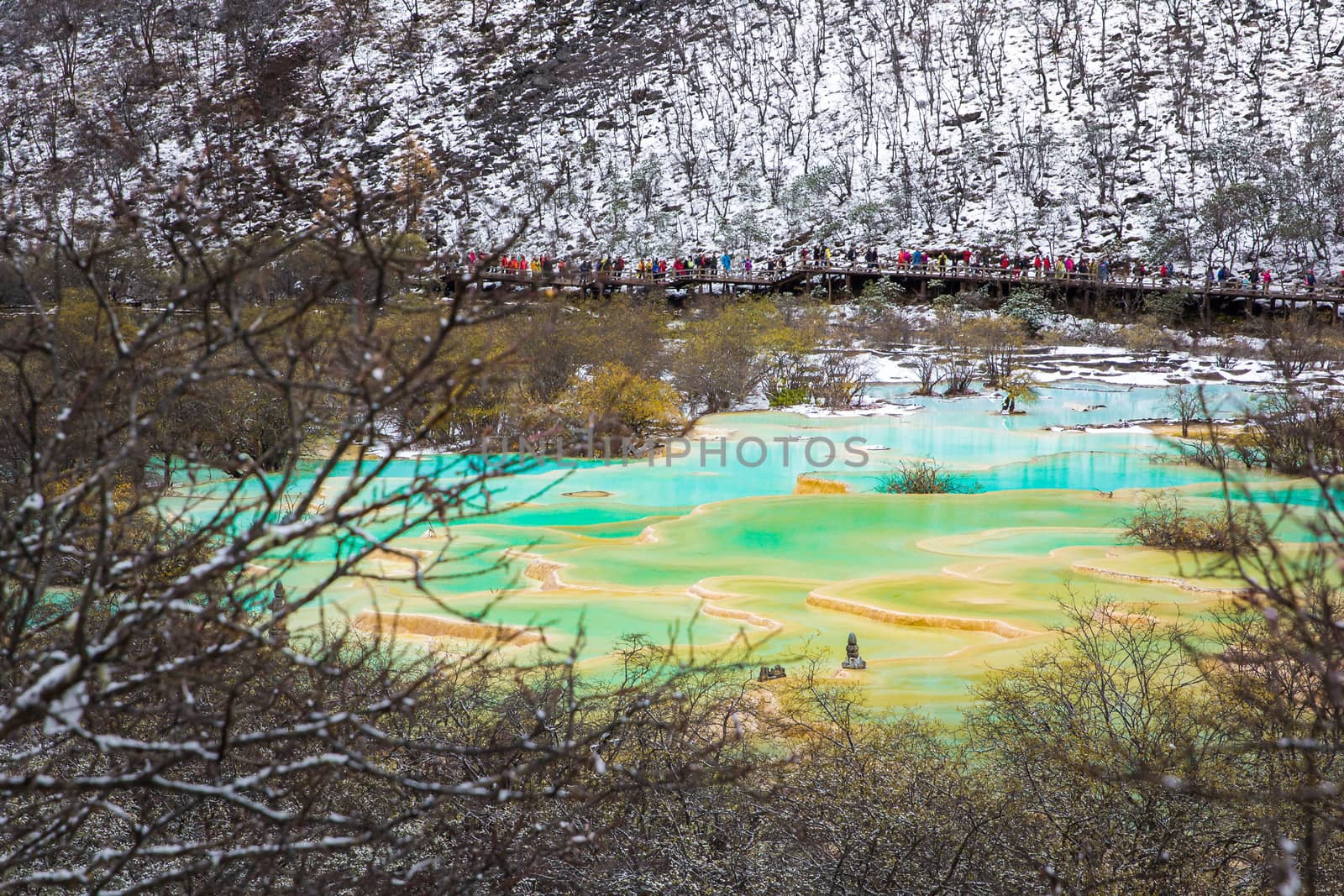 Huanglong Area with green pond in winter snow season, Sichuan, China