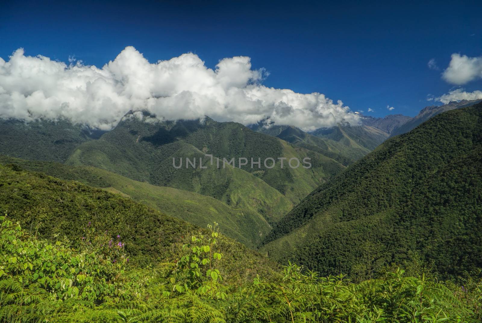 Picturesque green valley in Andes mountains in Bolivia on Choro trek