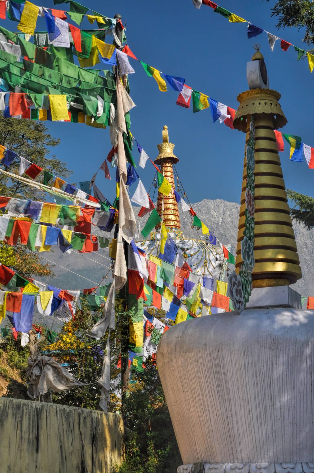 Colorful buddhist prayer flags in town of  Dharamshala, Himachal Pradesh, India
