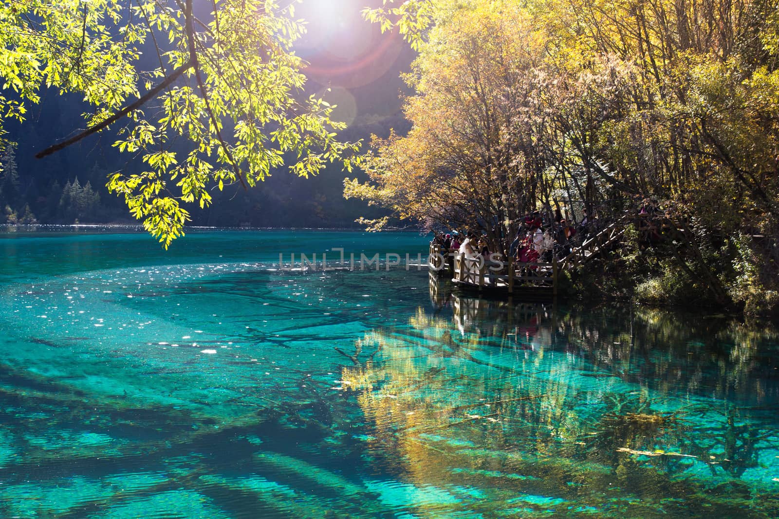 Five Flower Lake is lake in Jiuzhaigou national park in Sichuan, China