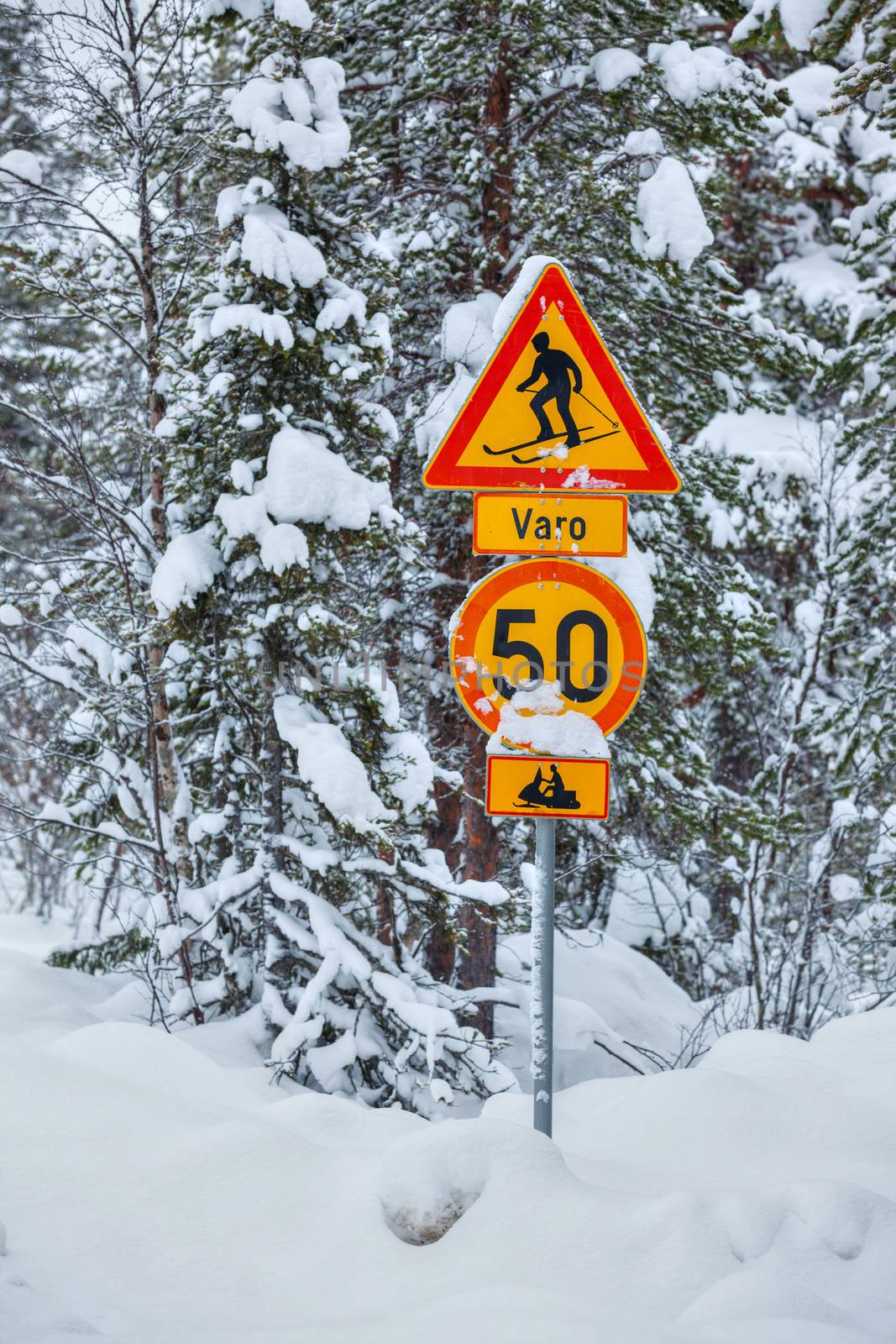 Warning traffic sign, warning skier and snowmobile sign on snowy arctic winter forest. Vertical view