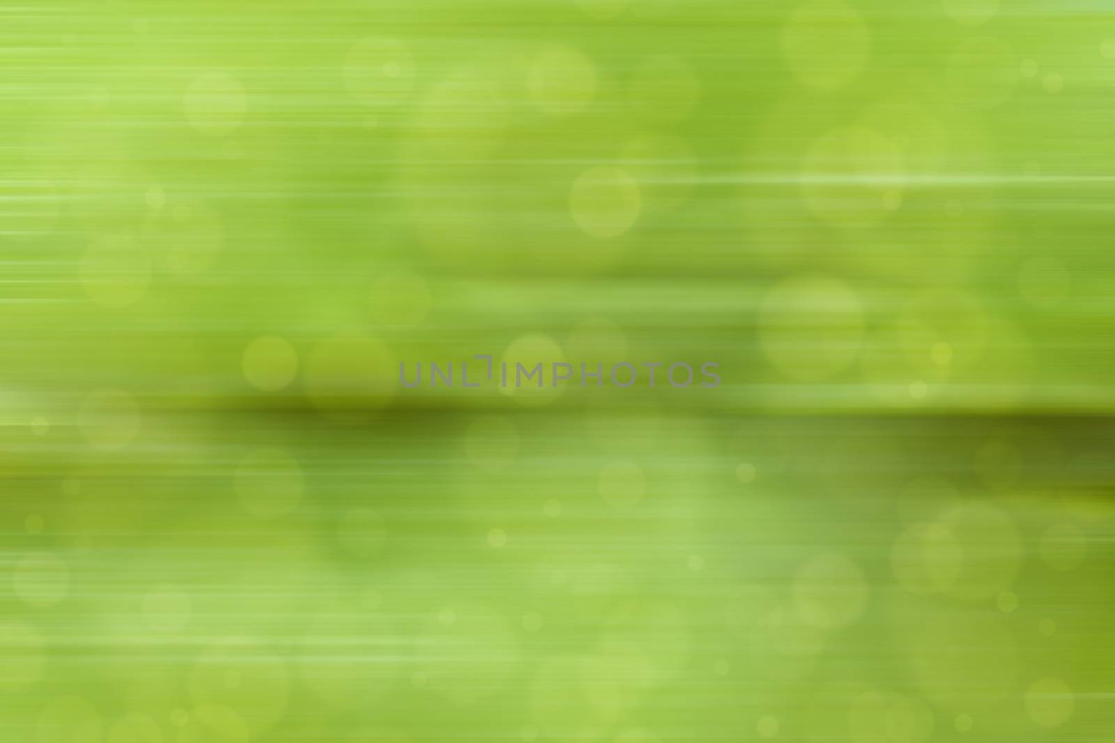  abstract green nature background, bokeh, fast motion