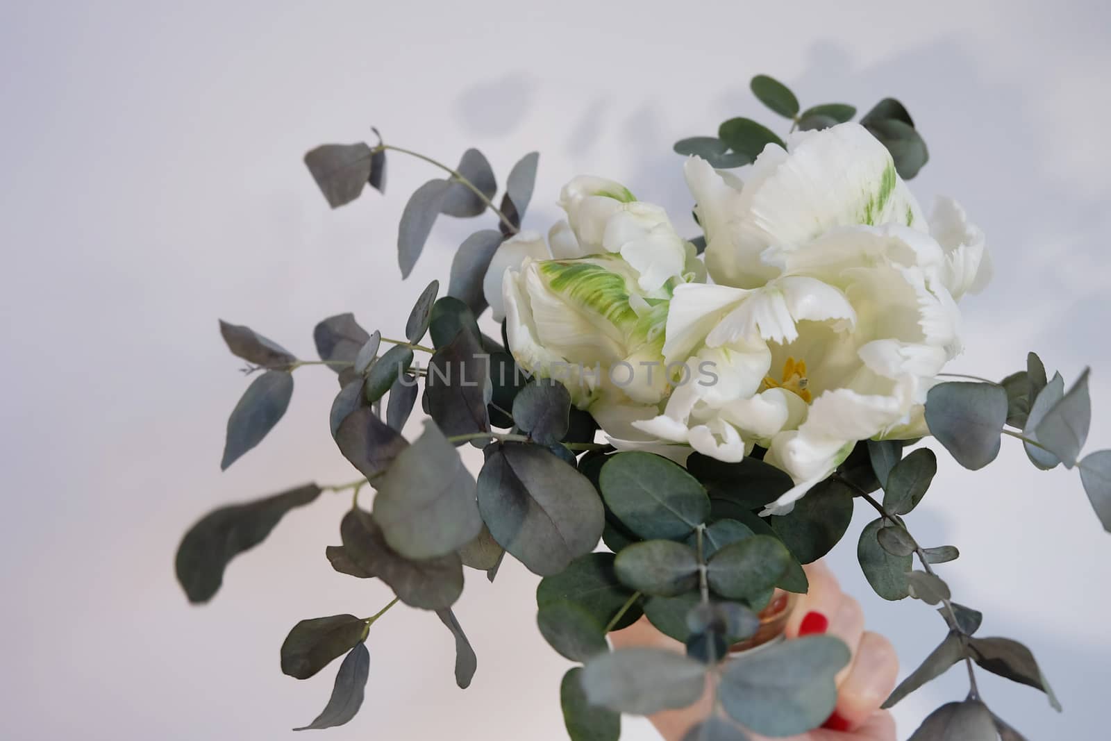 Bouquet of tulips and eucalyptus by mmm