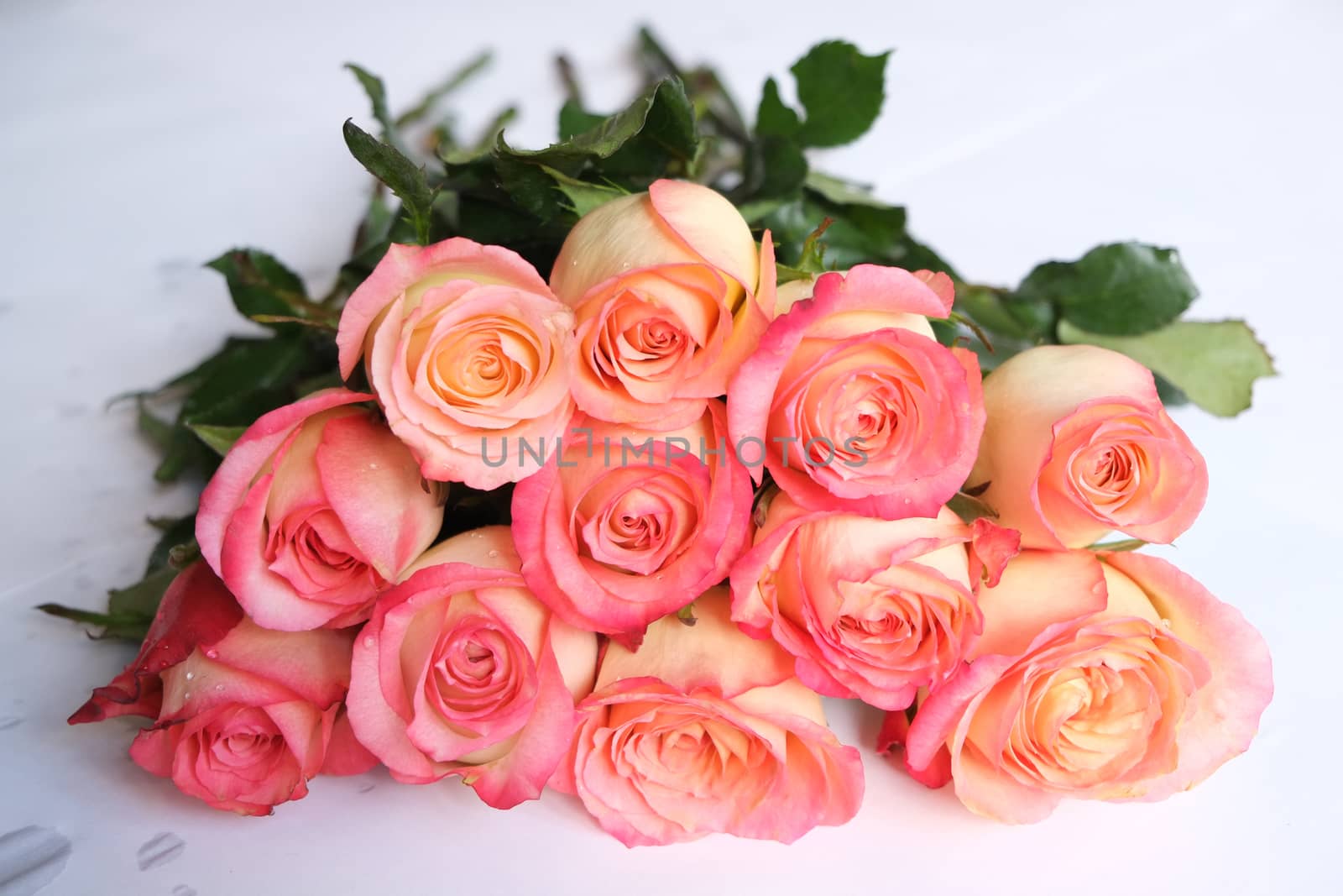 Bouquet of pink and yellow roses by mmm