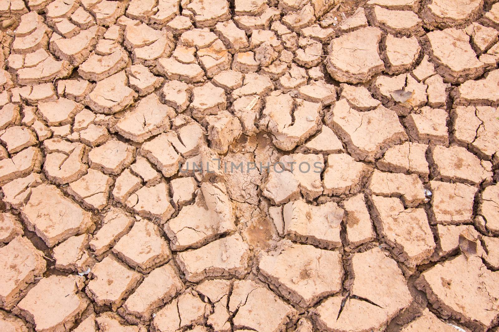background of cracked earth indicates dry weather, drought, or lack of water. footprint in the middle