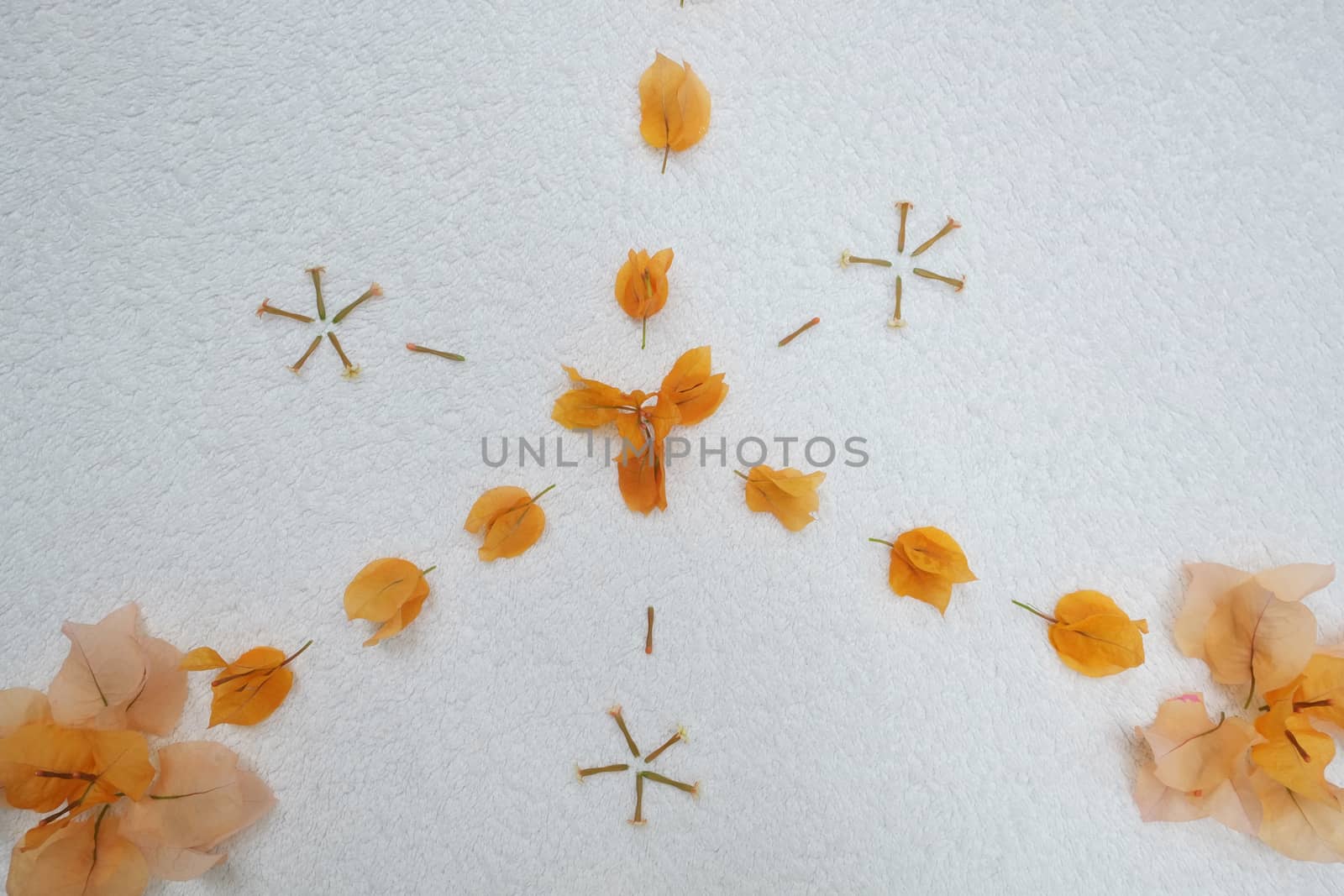 Orange flower petal design by mmm