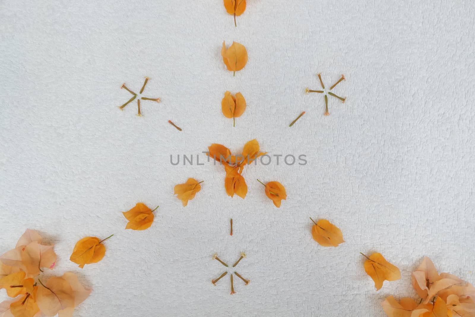 Orange flower petal design by mmm