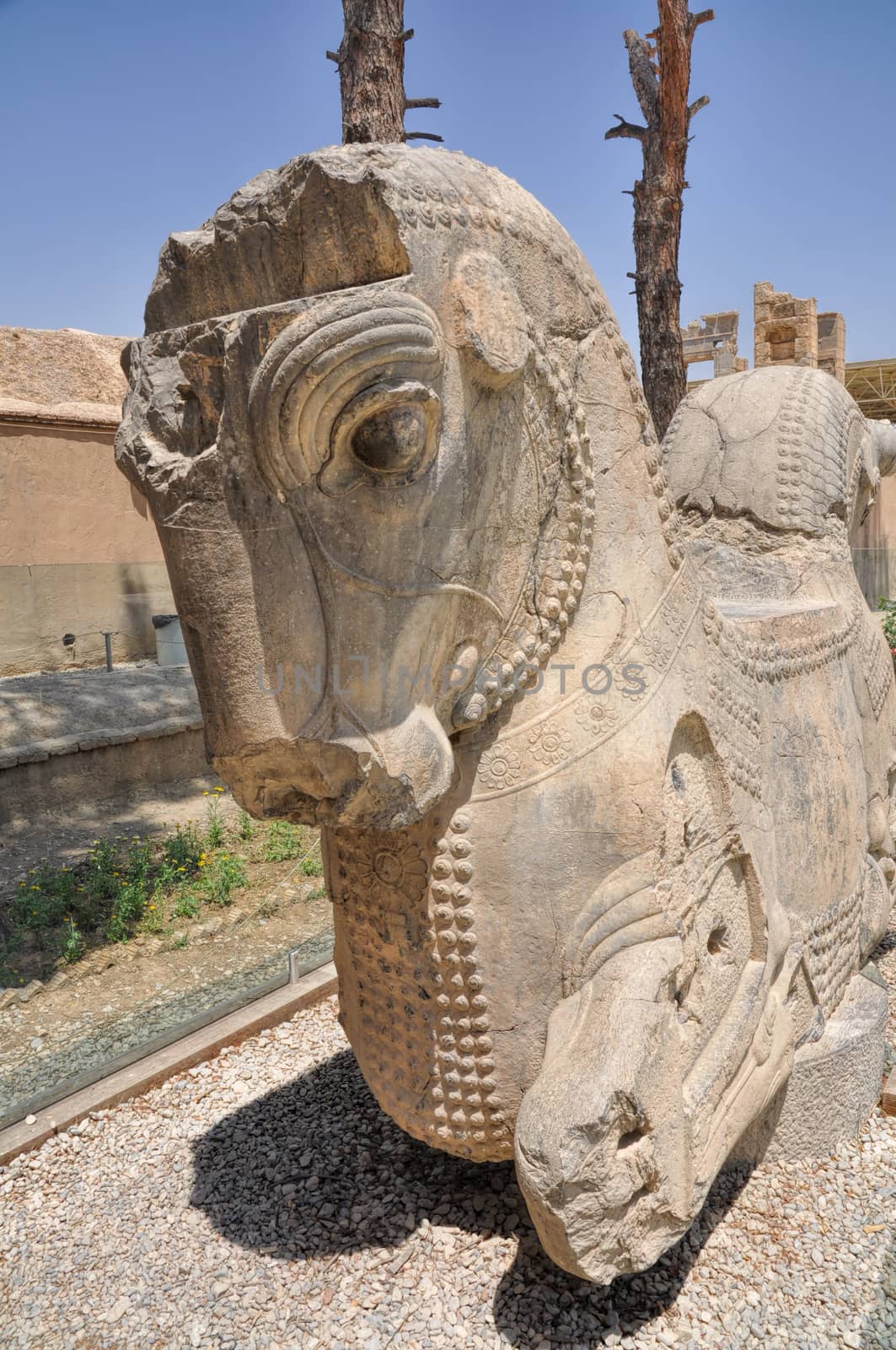 Statue of horse in ruins of persian capital Persepolis in current Iran