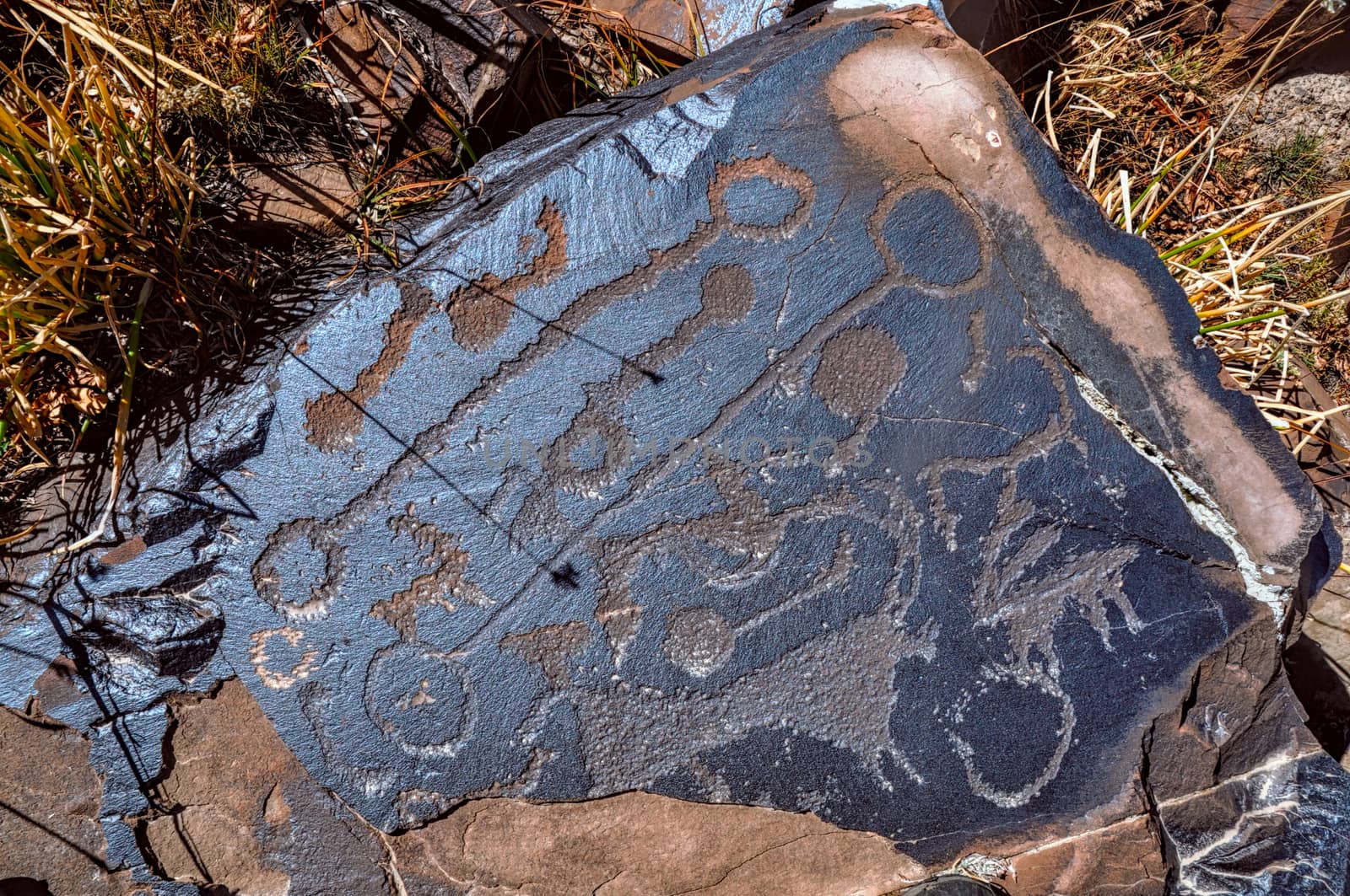 Ancient petroglyphs engraved on rock on Saimaluu Tash site in Kyrgyzstan