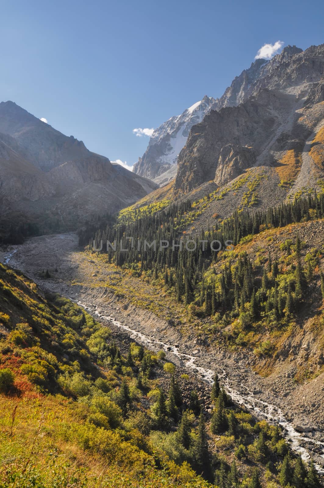 Scenic valley in Ala Archa national park in Tian Shan mountain range in Kyrgyzstan