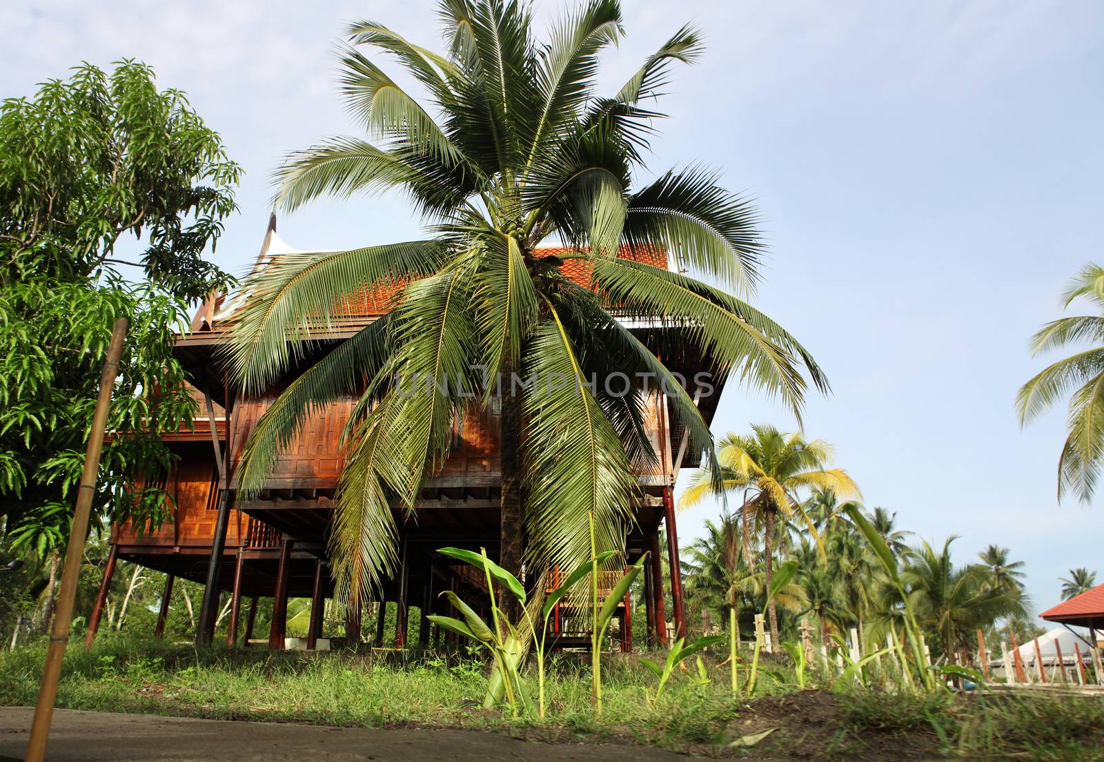 Not expensive dwelling of Thais in rural areas of Thailand