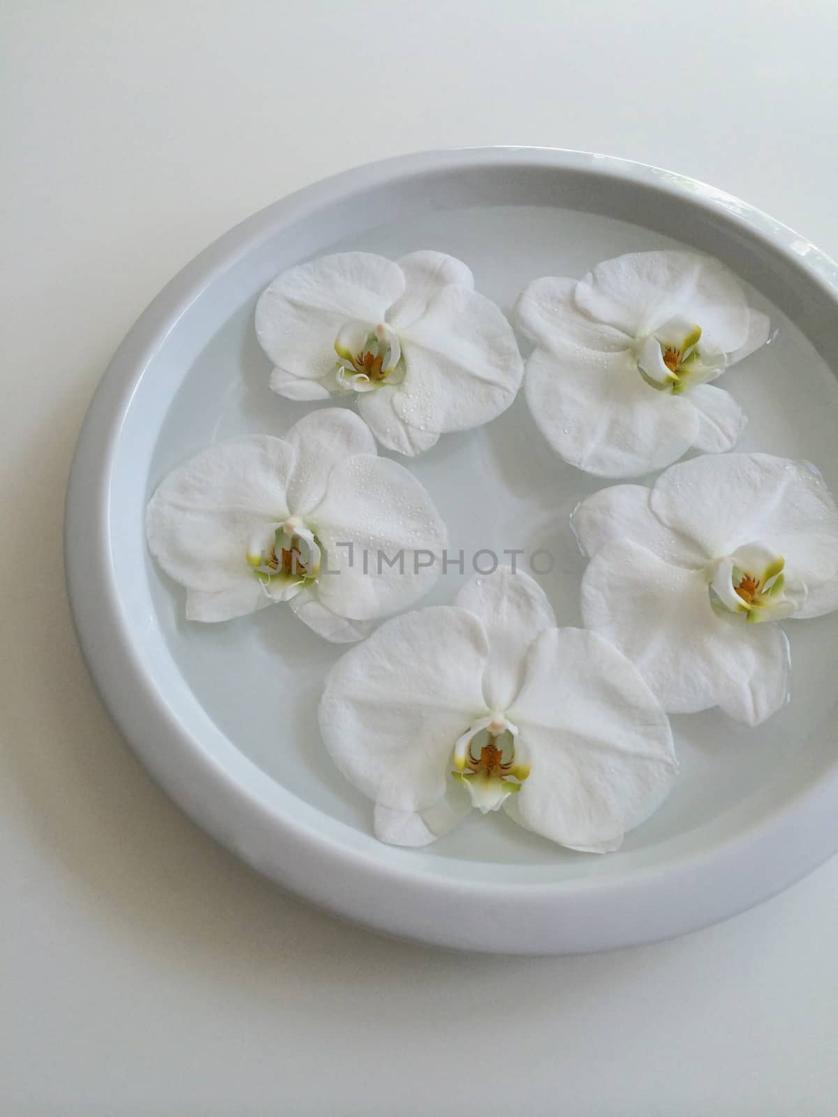 Five floating orchids in a bowl of water