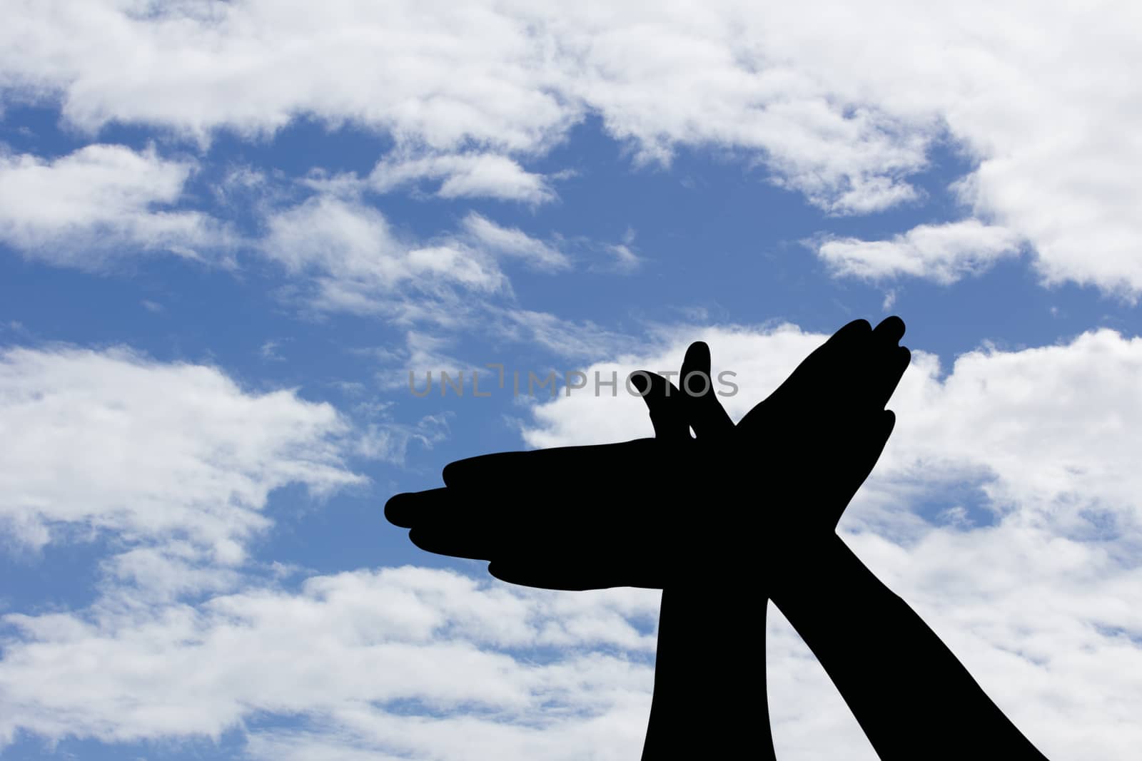 bird shape hand silhouette in blue sky, concept freedom.