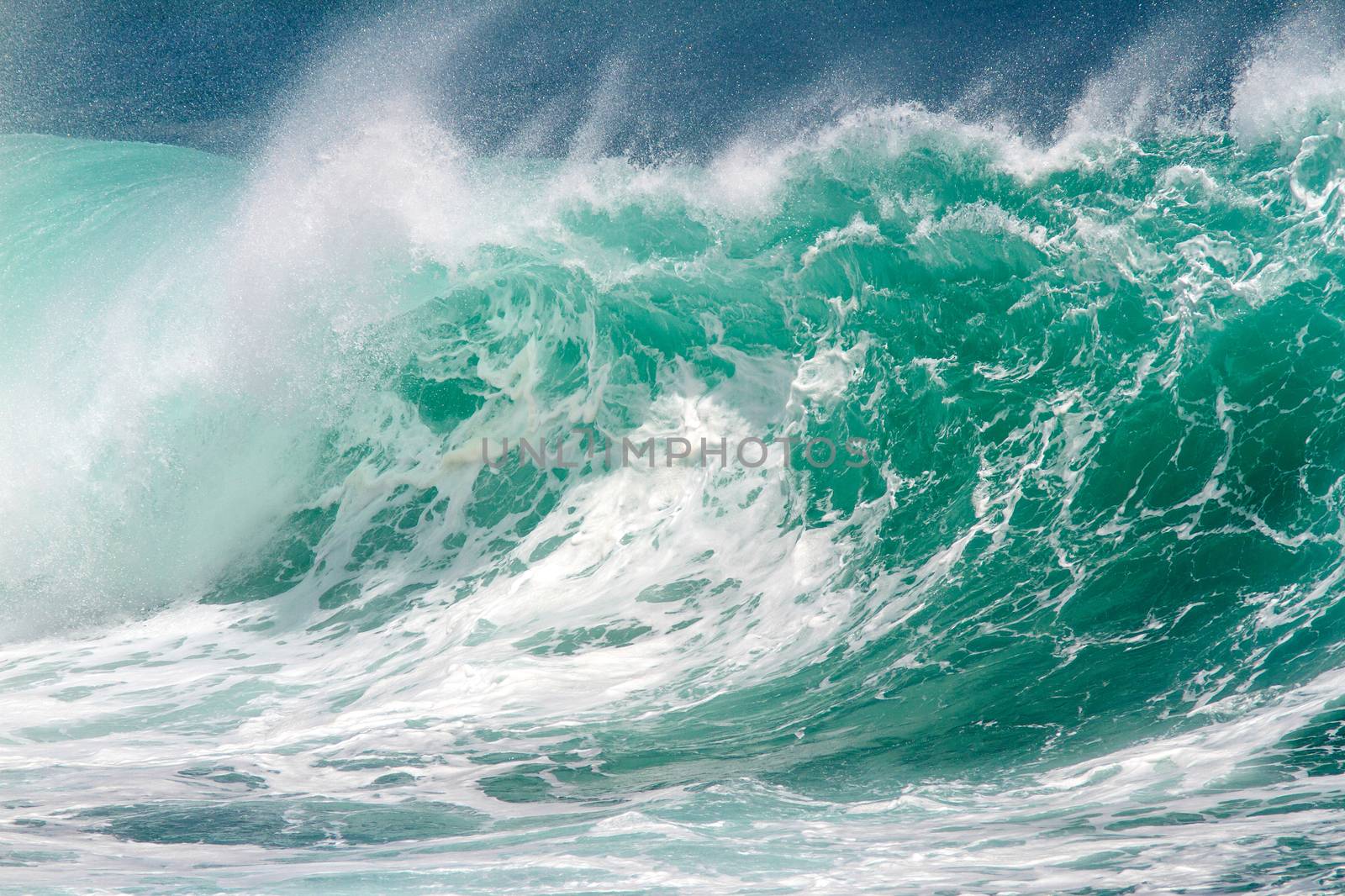 Picture of Ocean Wave. Indian Ocean.