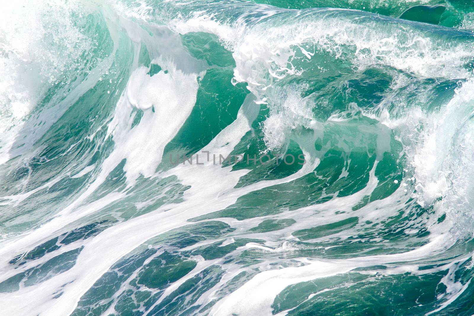 Picture of Ocean Wave. Indian Ocean.