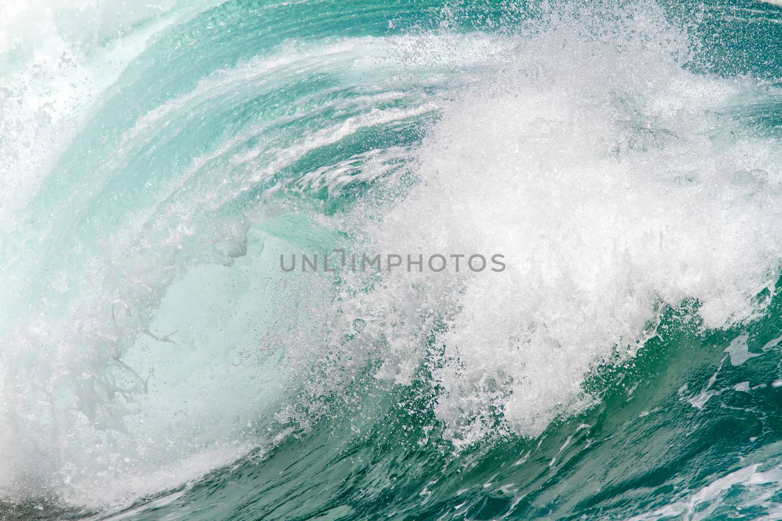 Picture of Ocean Wave. Indian Ocean.