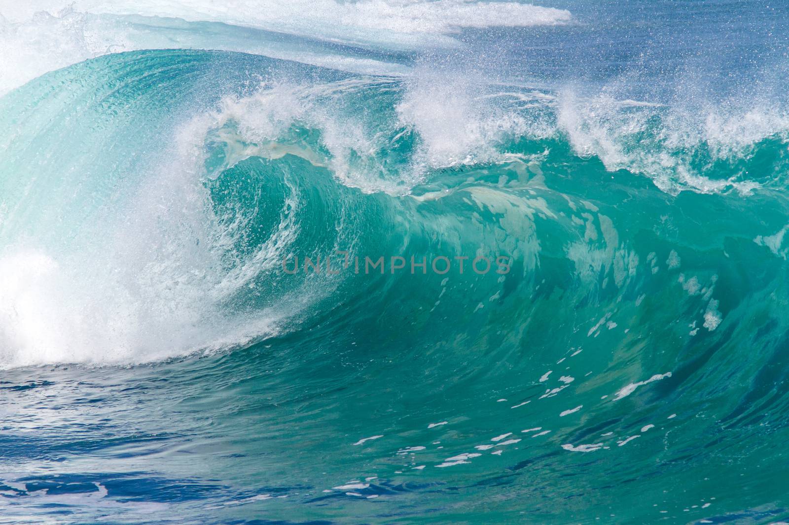 Picture of Ocean Wave. Indian Ocean.