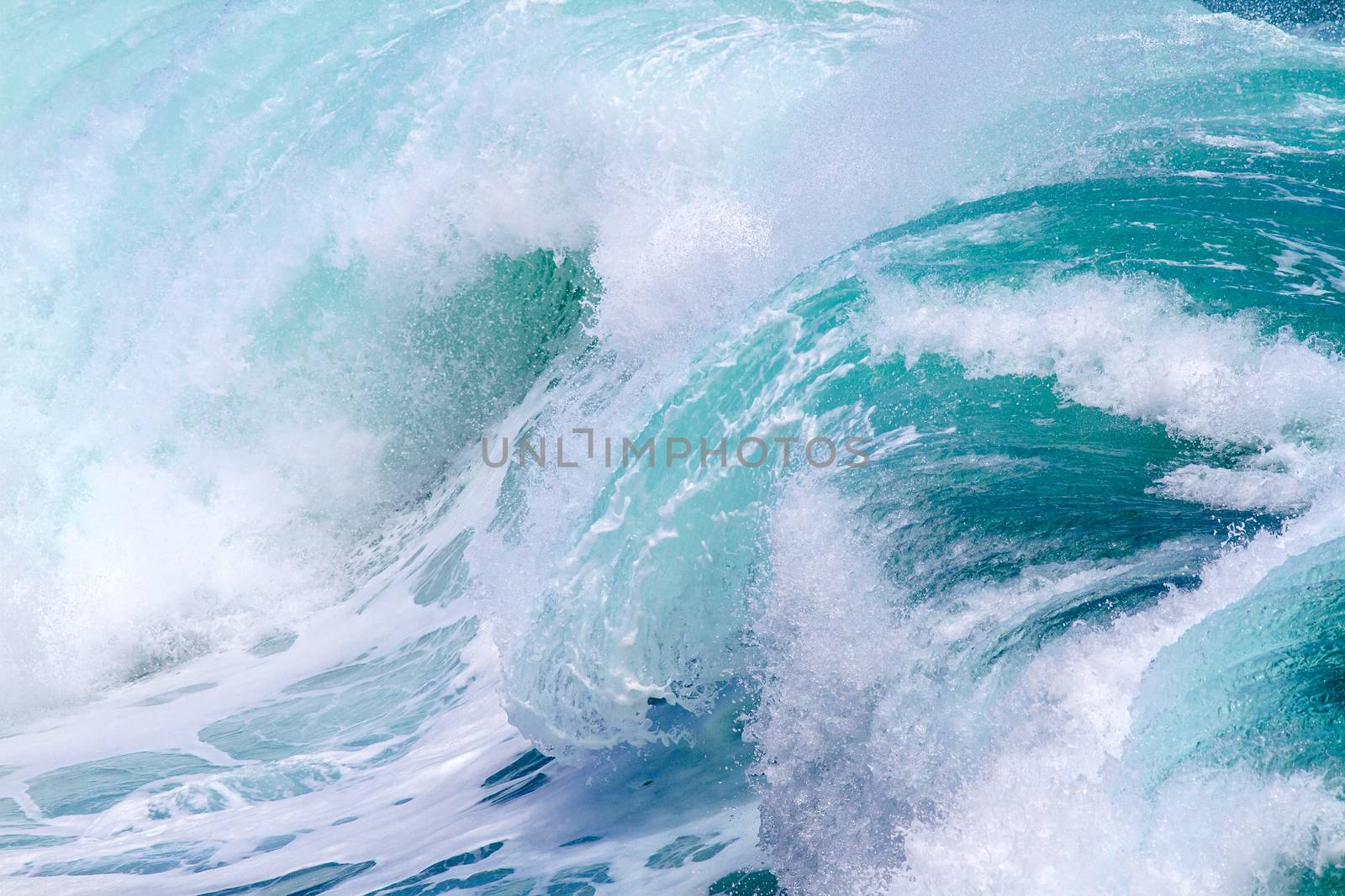 Picture of Ocean Wave. Indian Ocean.