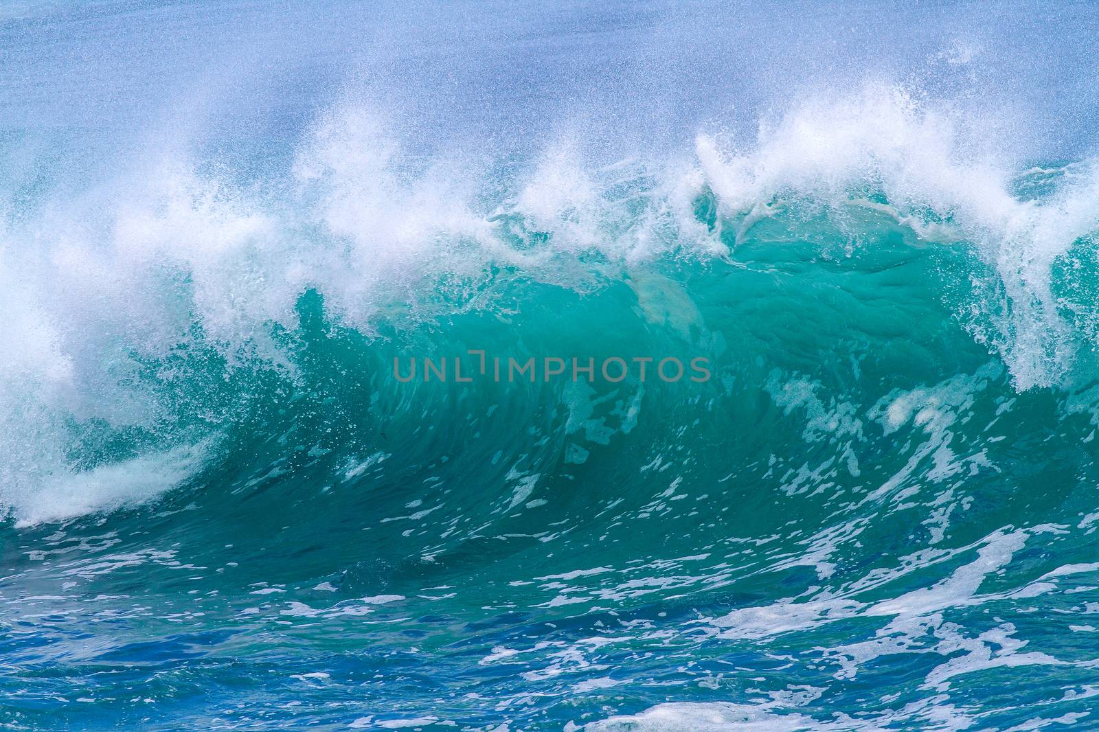 Picture of Ocean Wave. Indian Ocean.