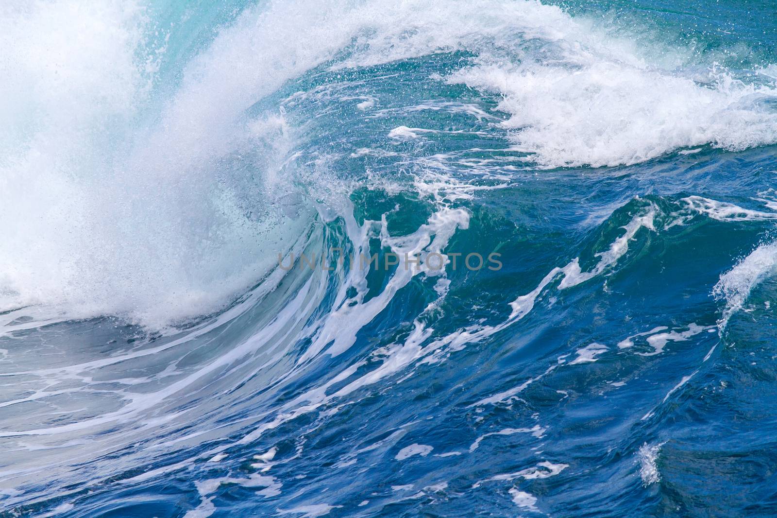 Picture of Ocean Wave. Indian Ocean.